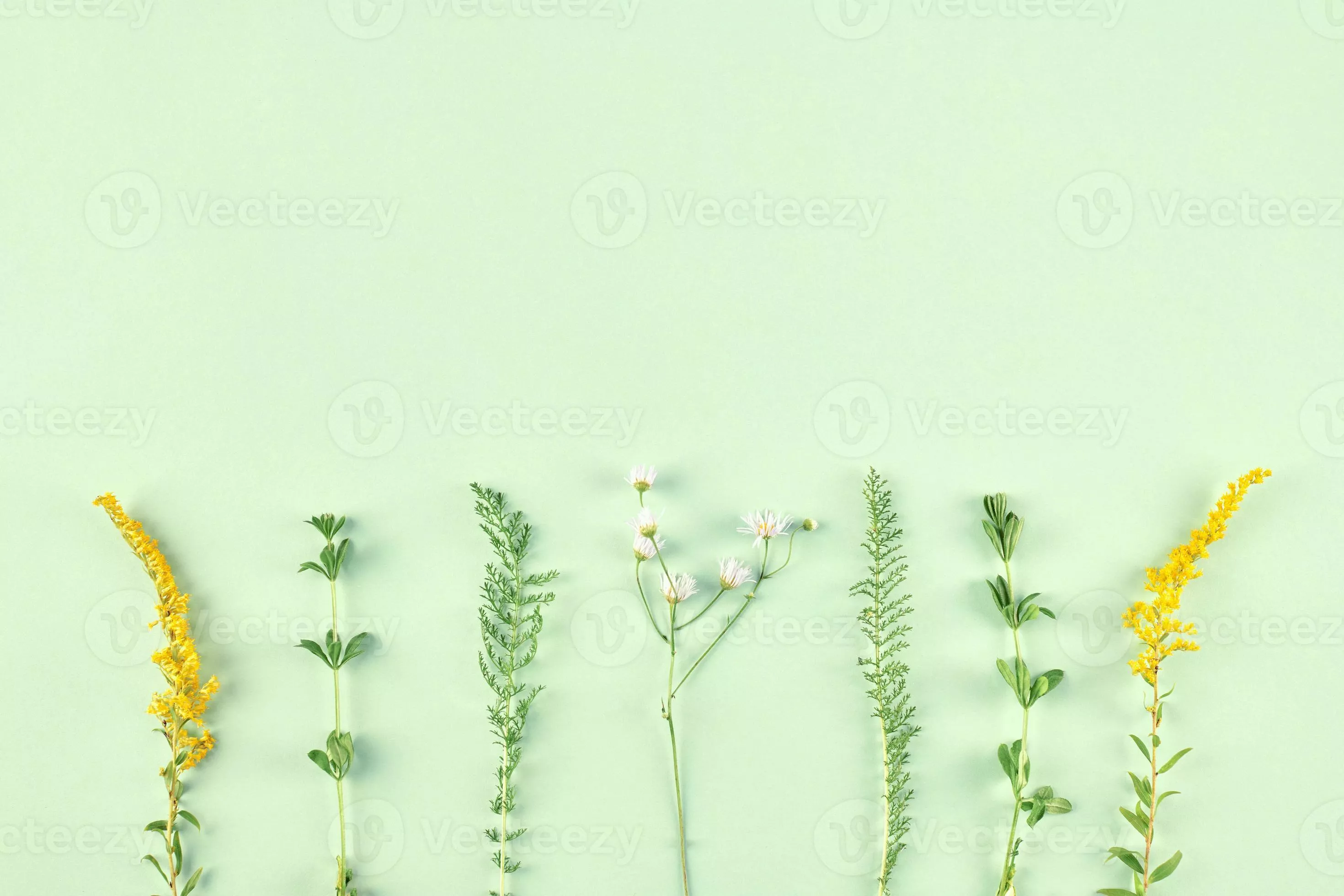Pastel green grass and yellow flowers