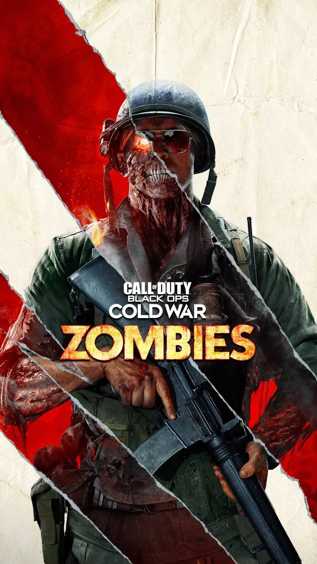 Black Ops Zombies Wallpaper