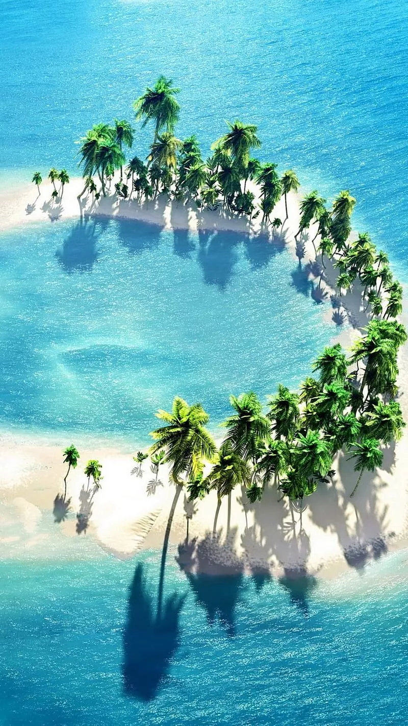 Maldives, island, ocean, palms, tropics