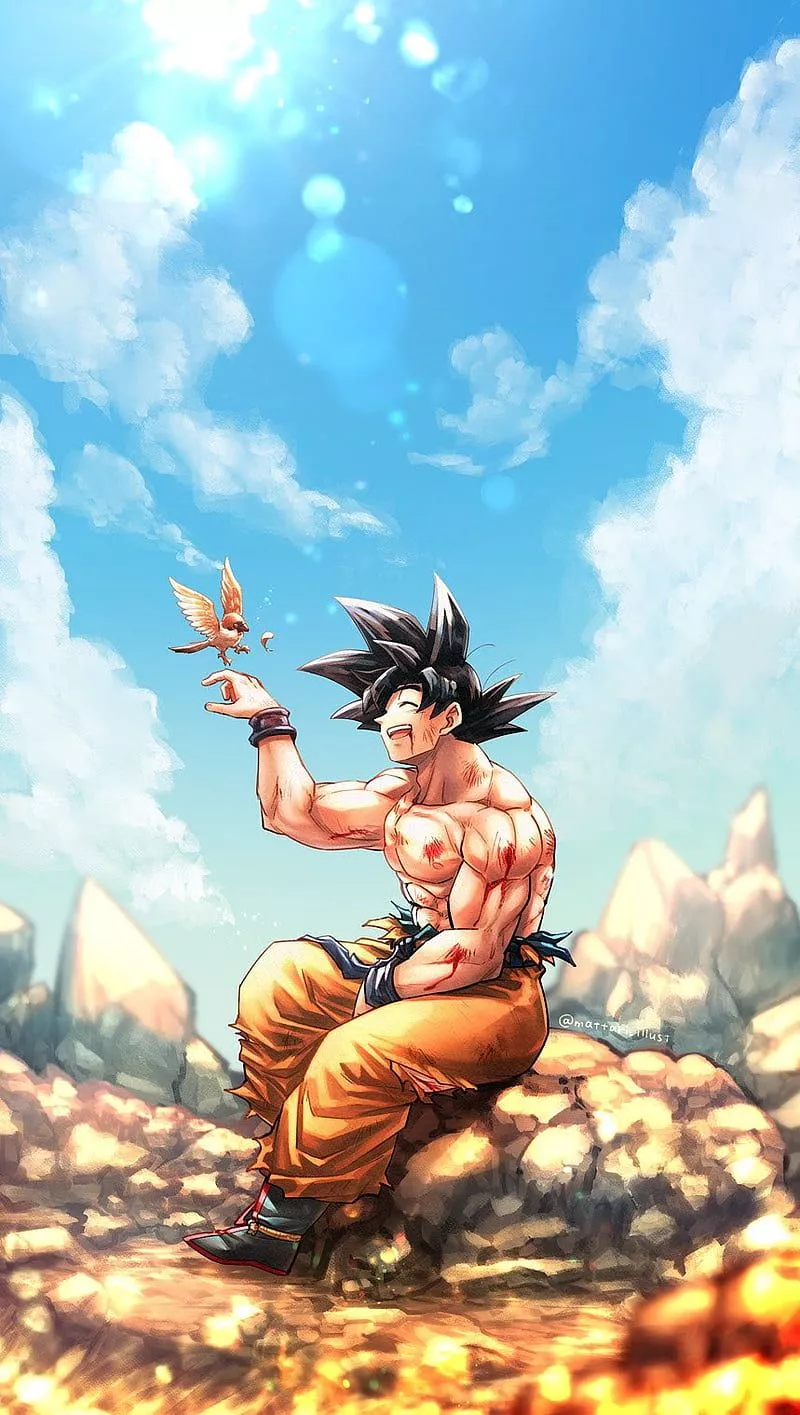 Son Goku, cloud, sky, HD phone
