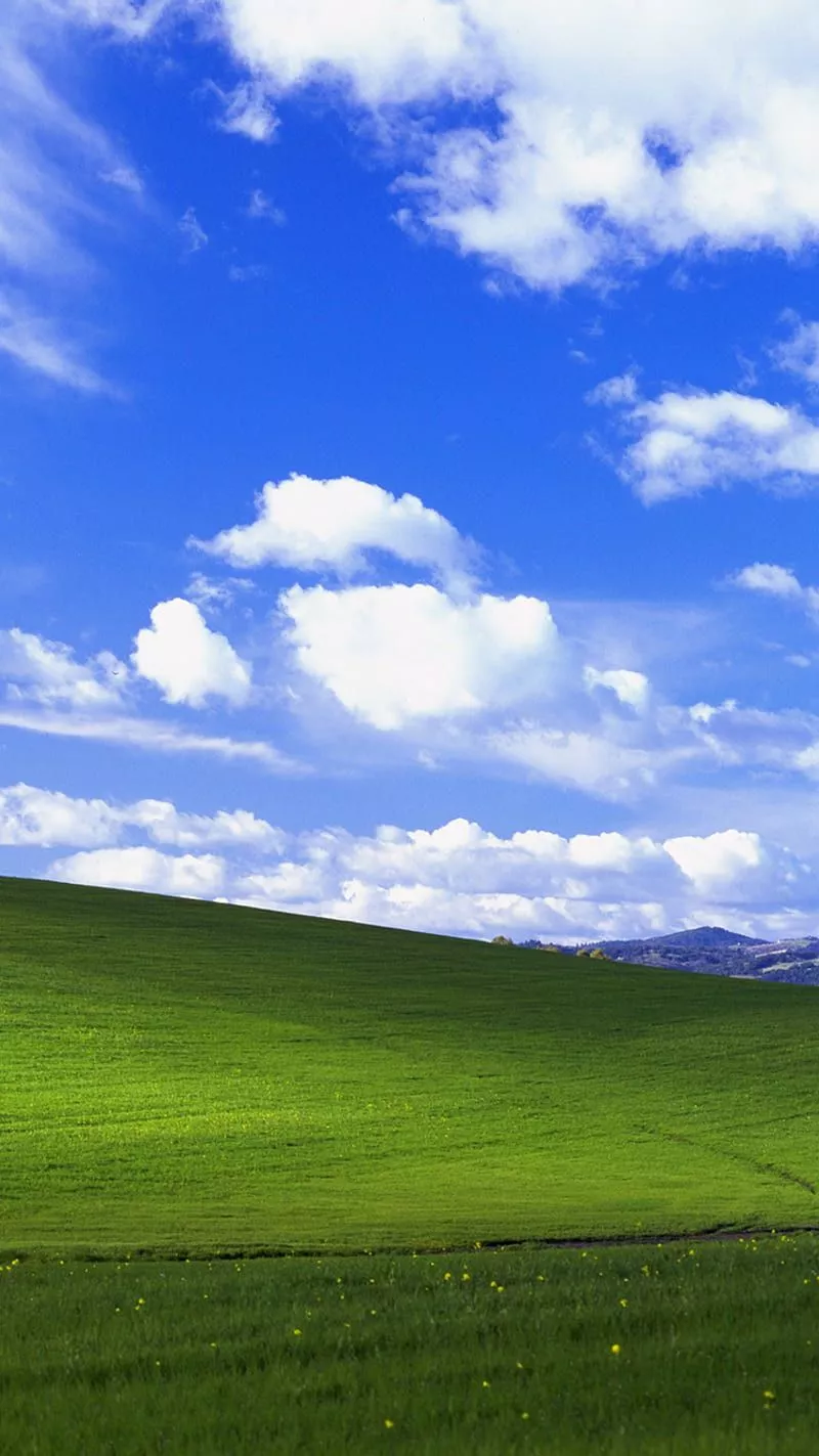 windows, xp, HD phone wallpaper