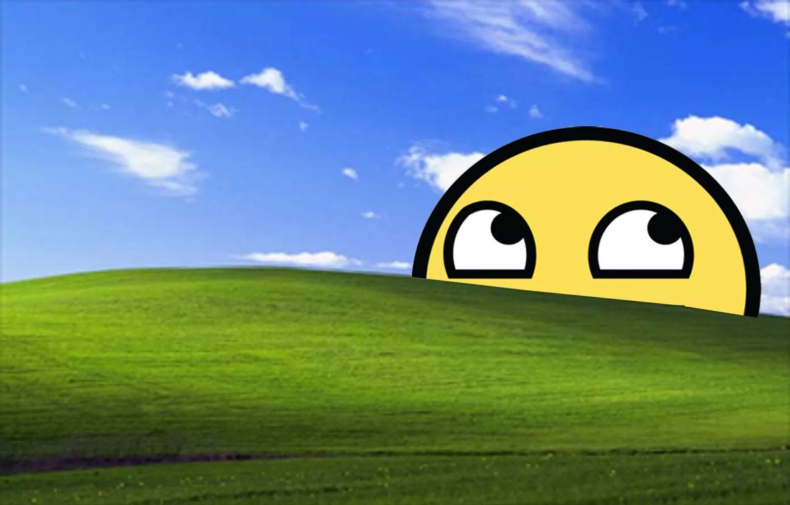 Windows Xp Bliss Wallpaper