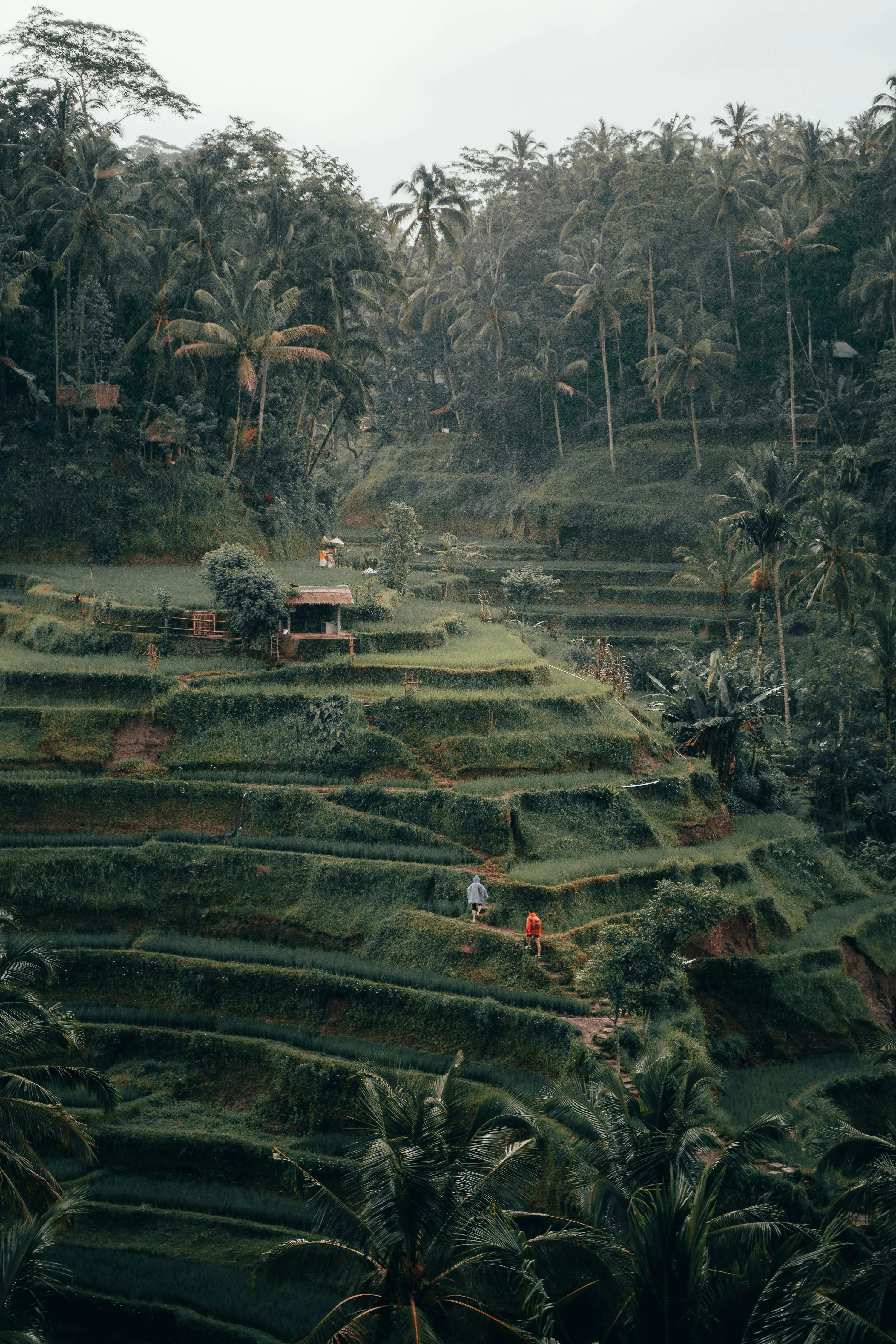 Beautiful Bali Image. Download