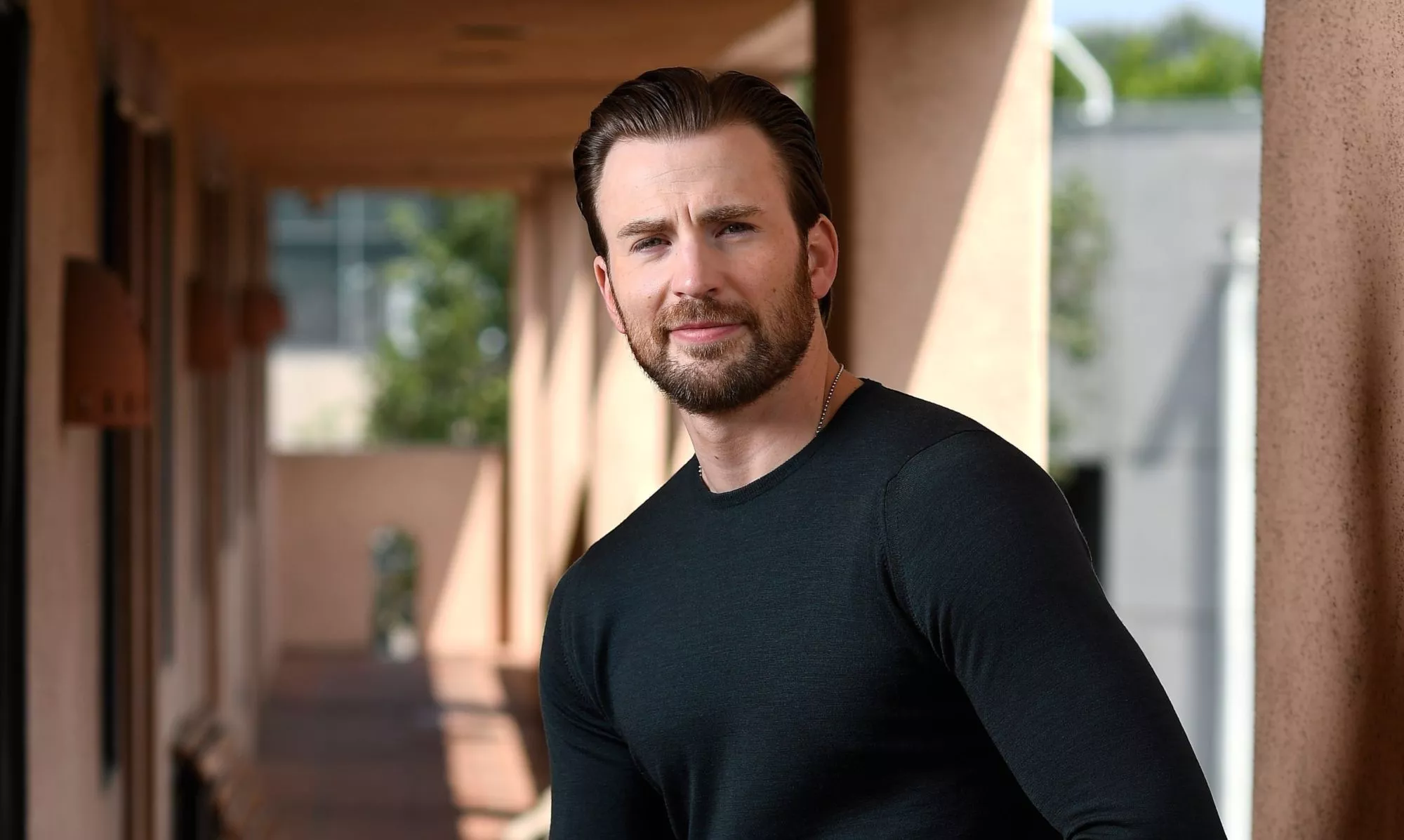 Download Actor Beard Celebrity Chris