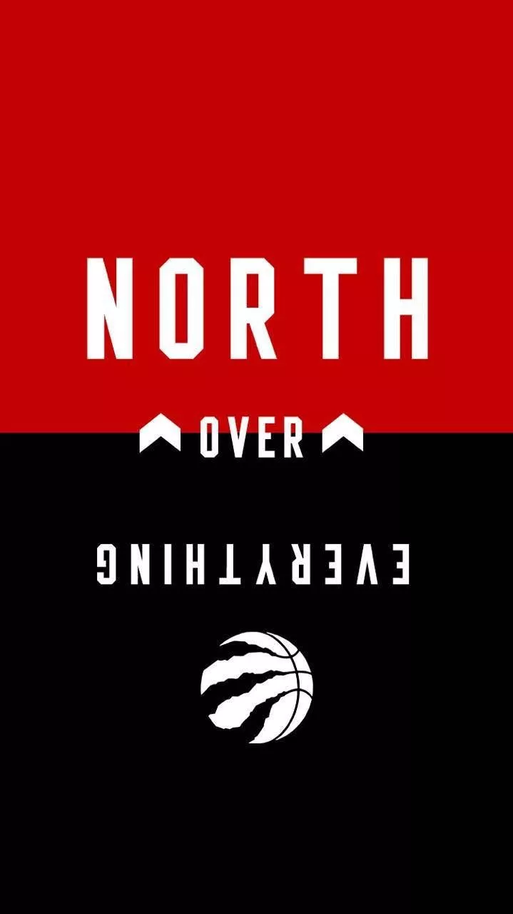 Expressive Toronto Raptors Themed