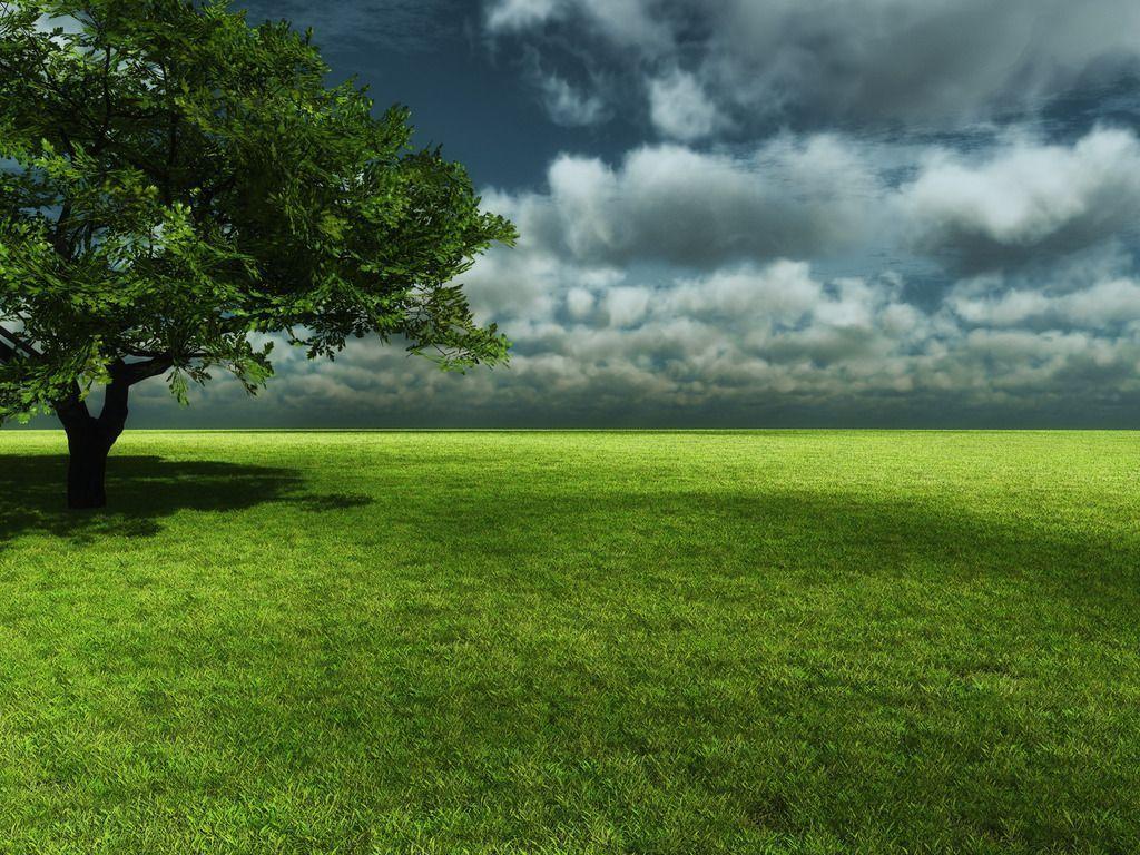 Wallpaper Free 1024x768