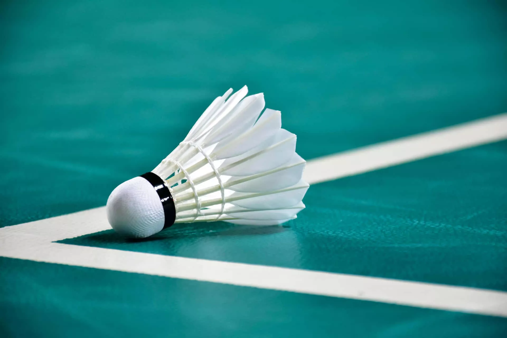 Download Badminton Background