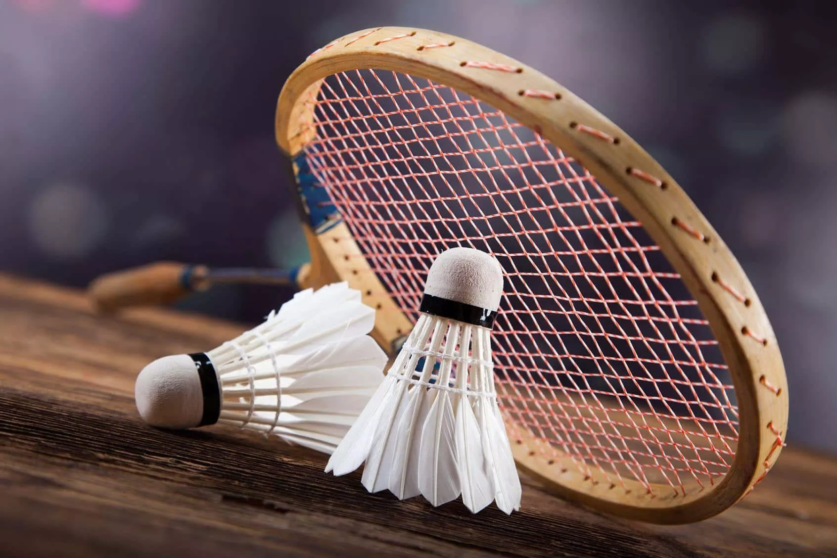 Download Enjoy The Game Of Badminton