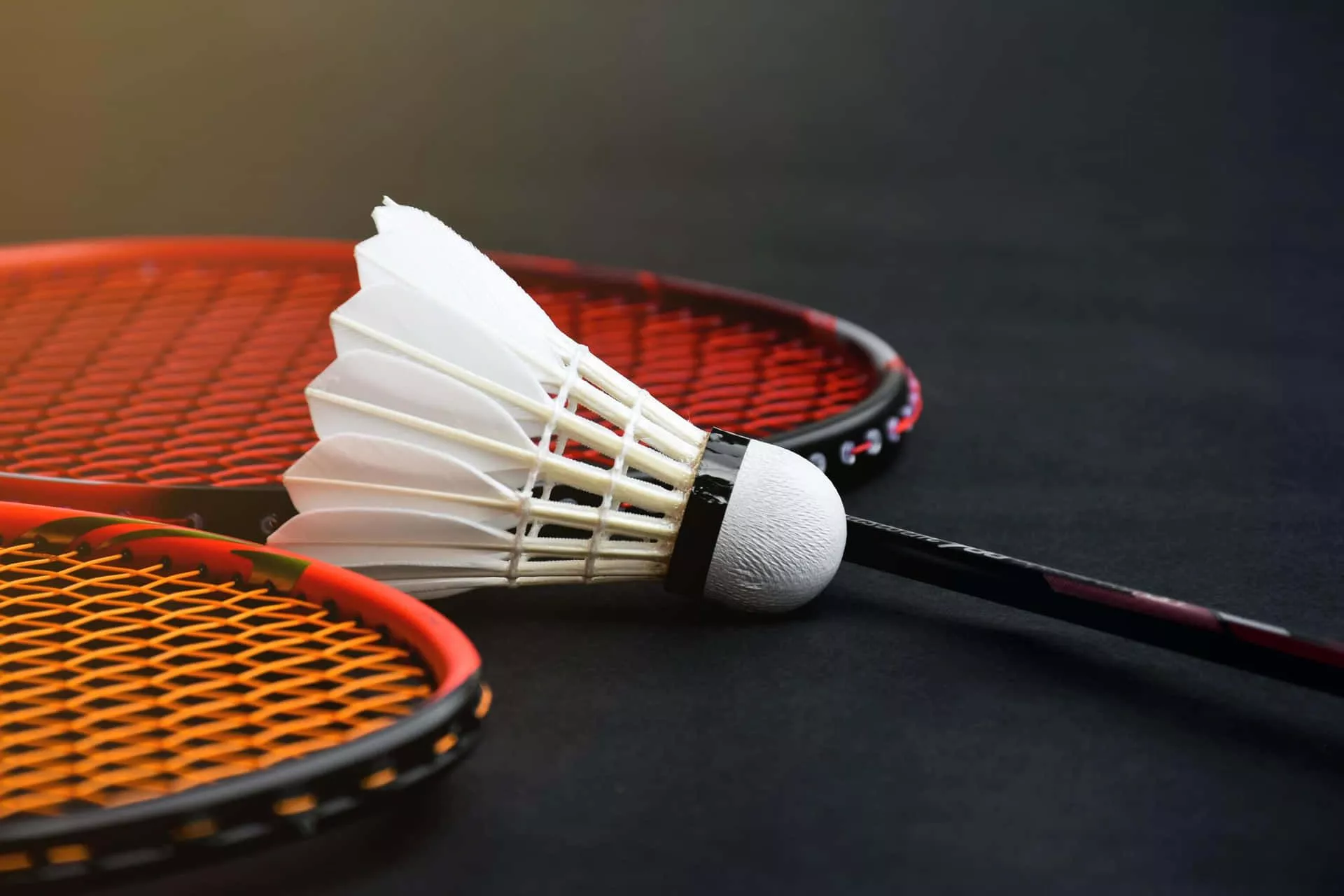 Download Badminton Background