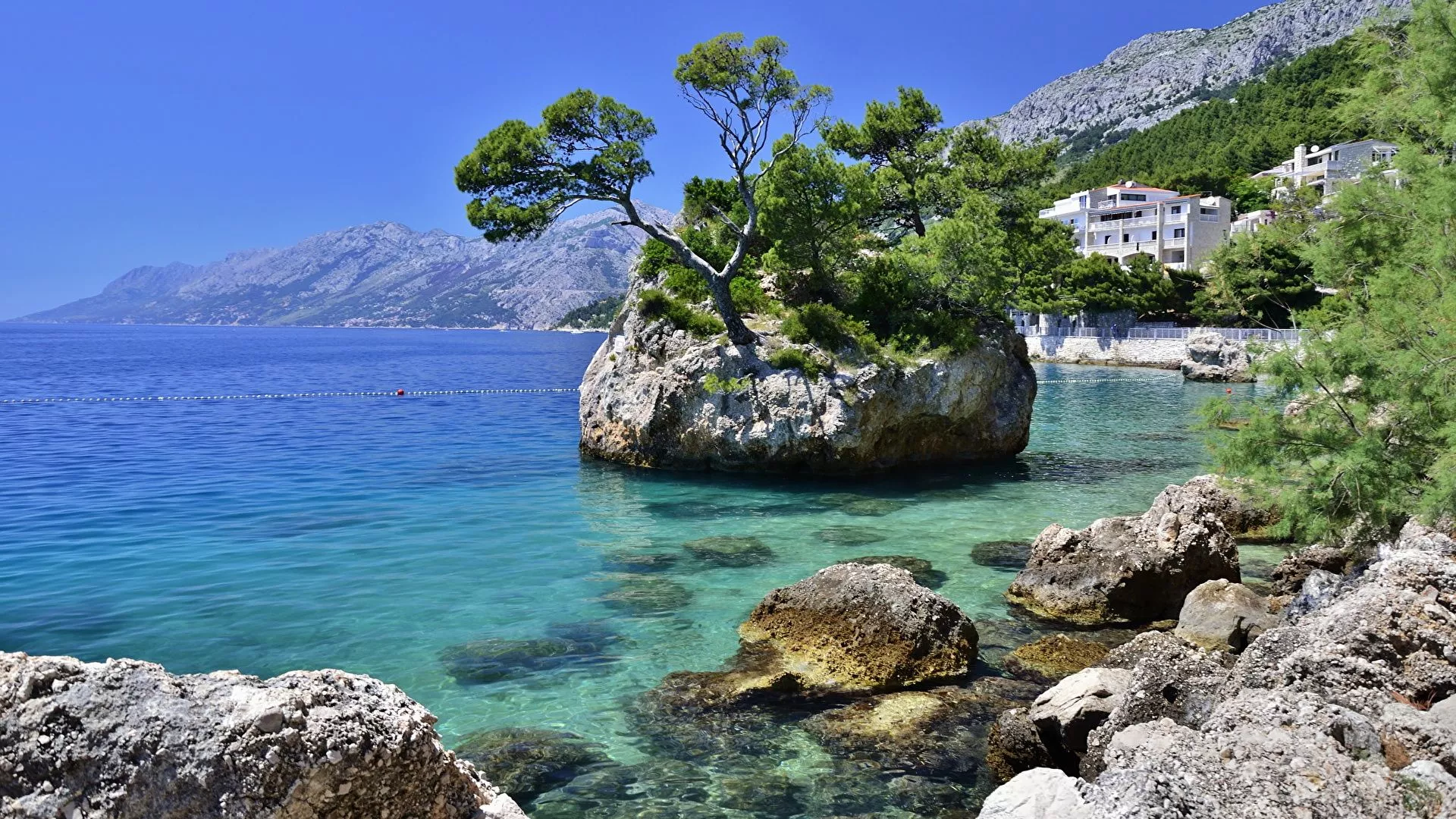 Picture Croatia Sea Nature Cove Coast