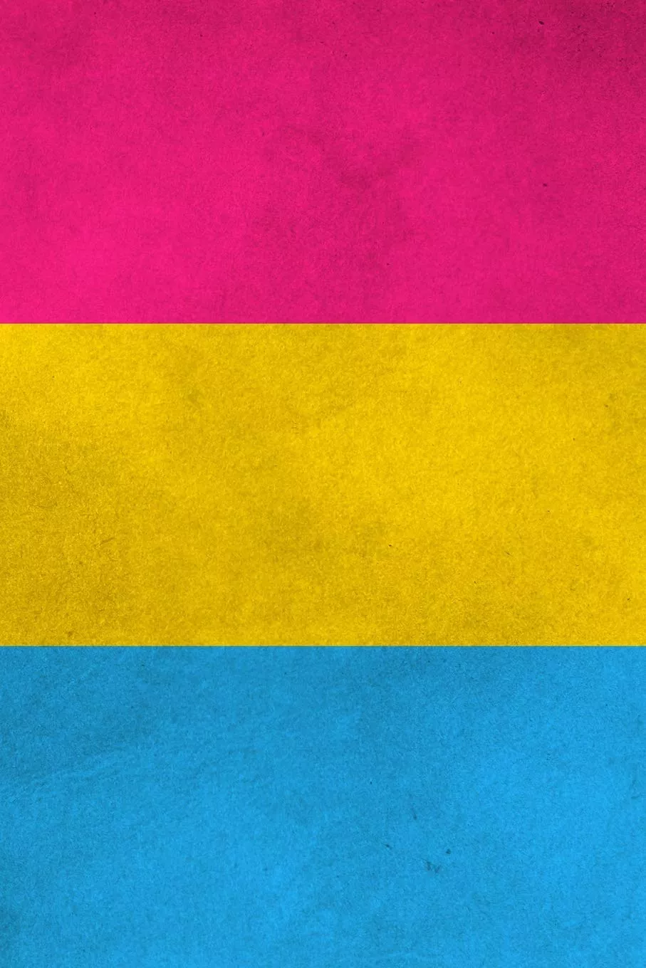Pansexual Pride Flag Journal: 6 x 9