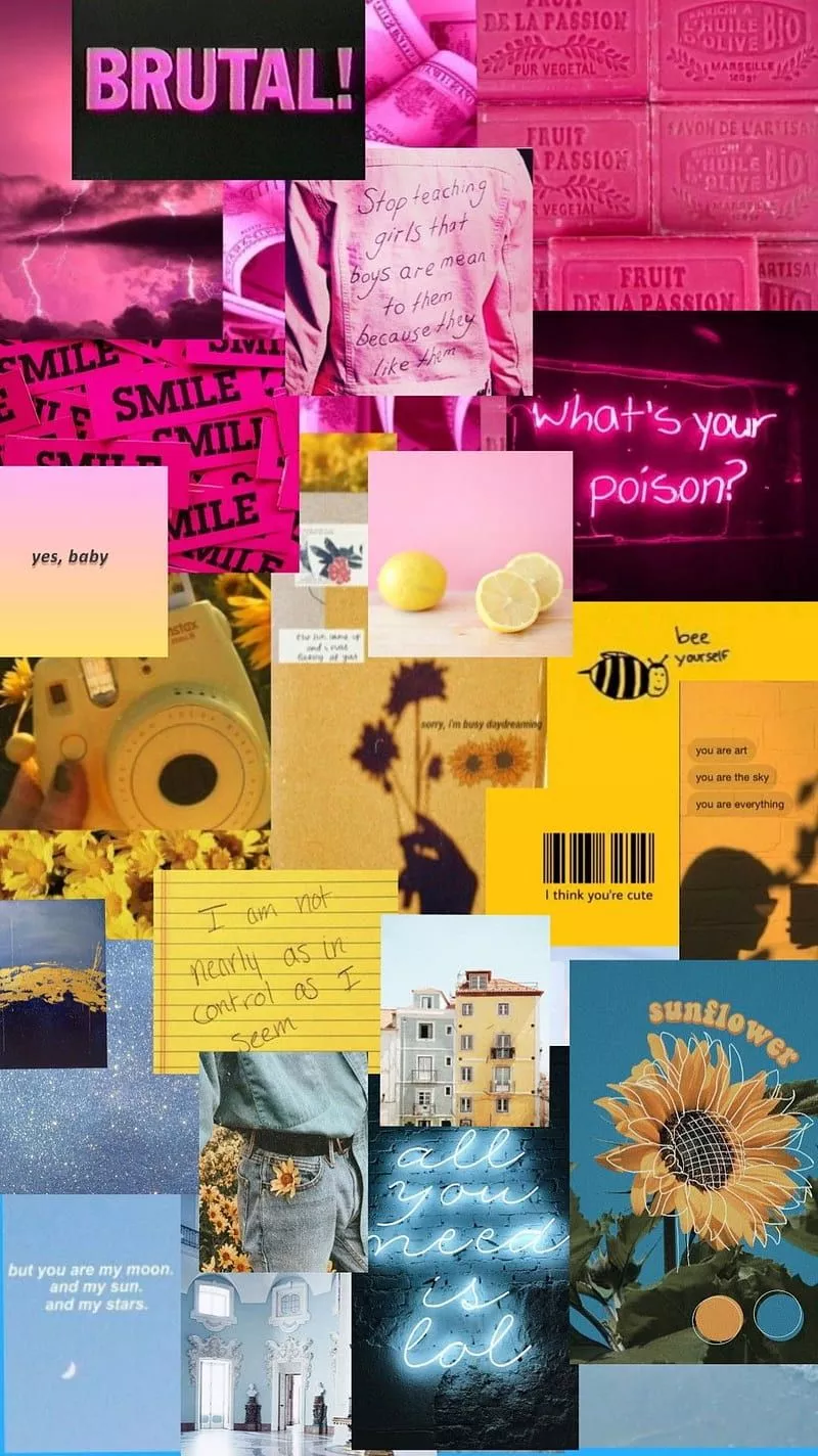 Pansexual Pride, aesthetic, lgbtq, pans