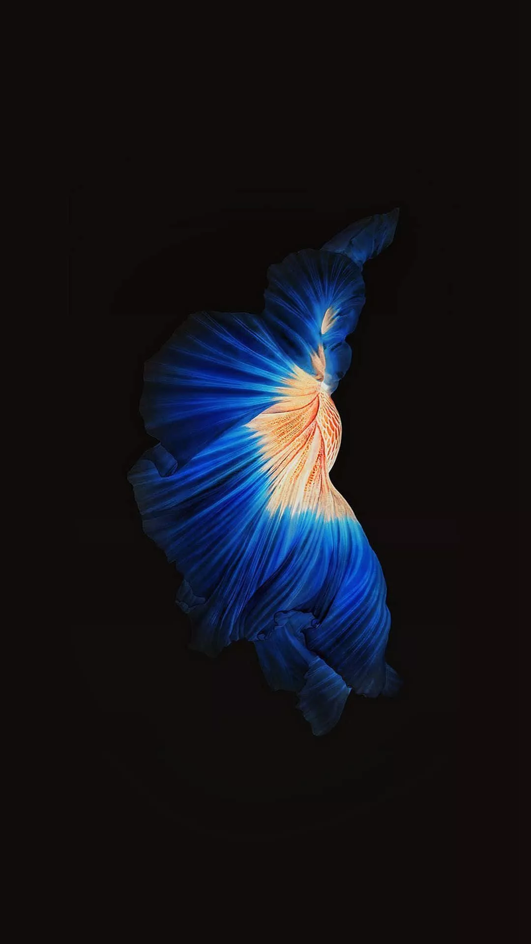 Original iPhone 5s Wallpaper