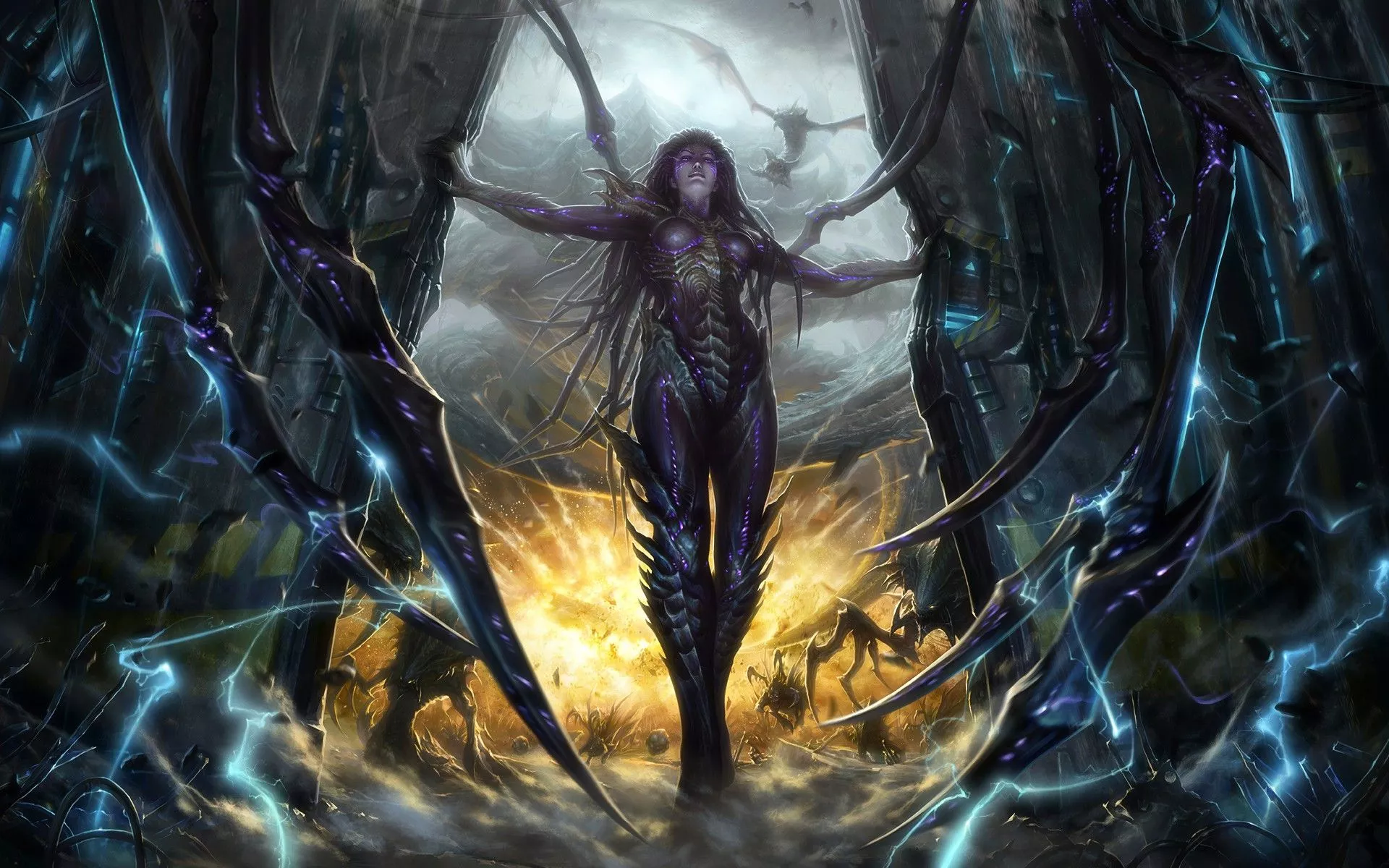 Starcraft II HD Wallpaper: Rise