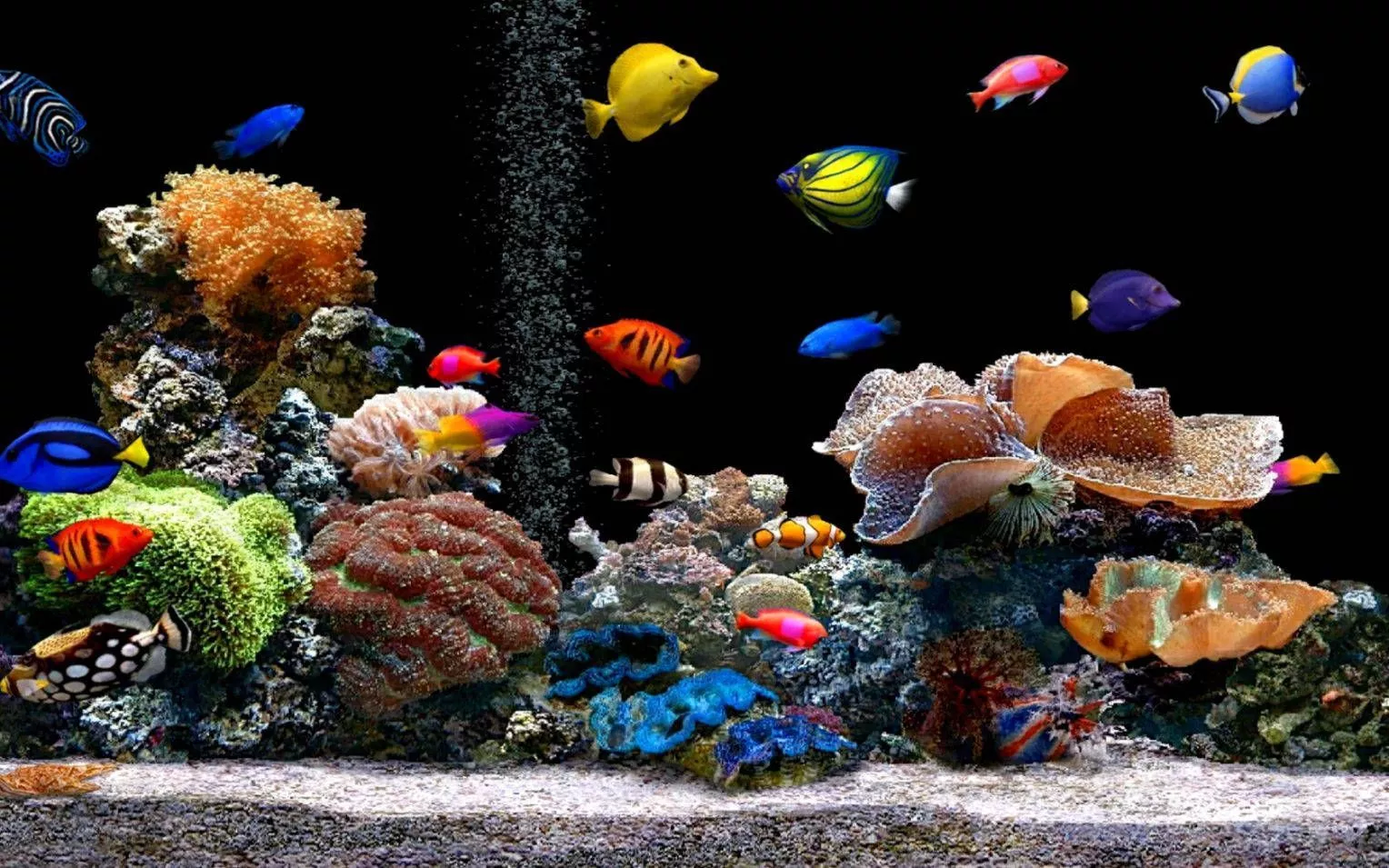 Aquarium Wallpaper