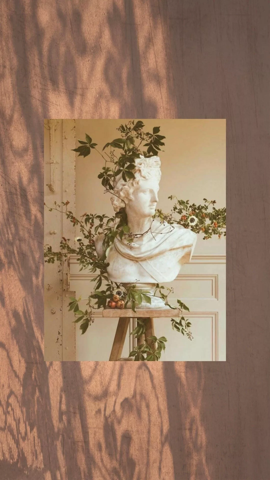 Download Light Academia Aesthetic Bust