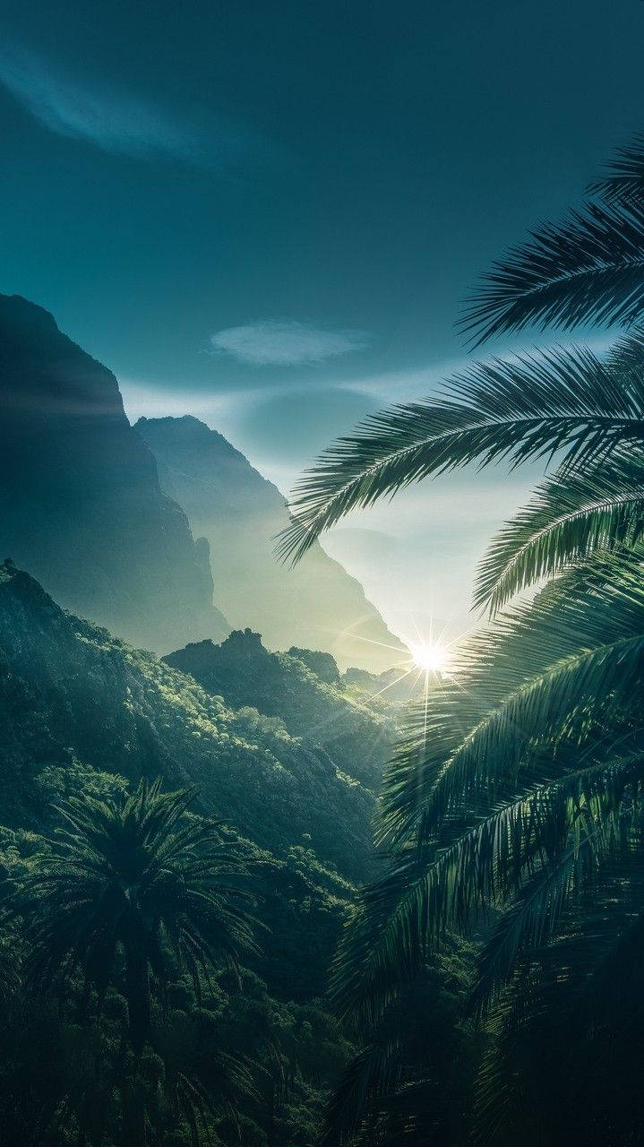 Cool Android HD Wallpaper