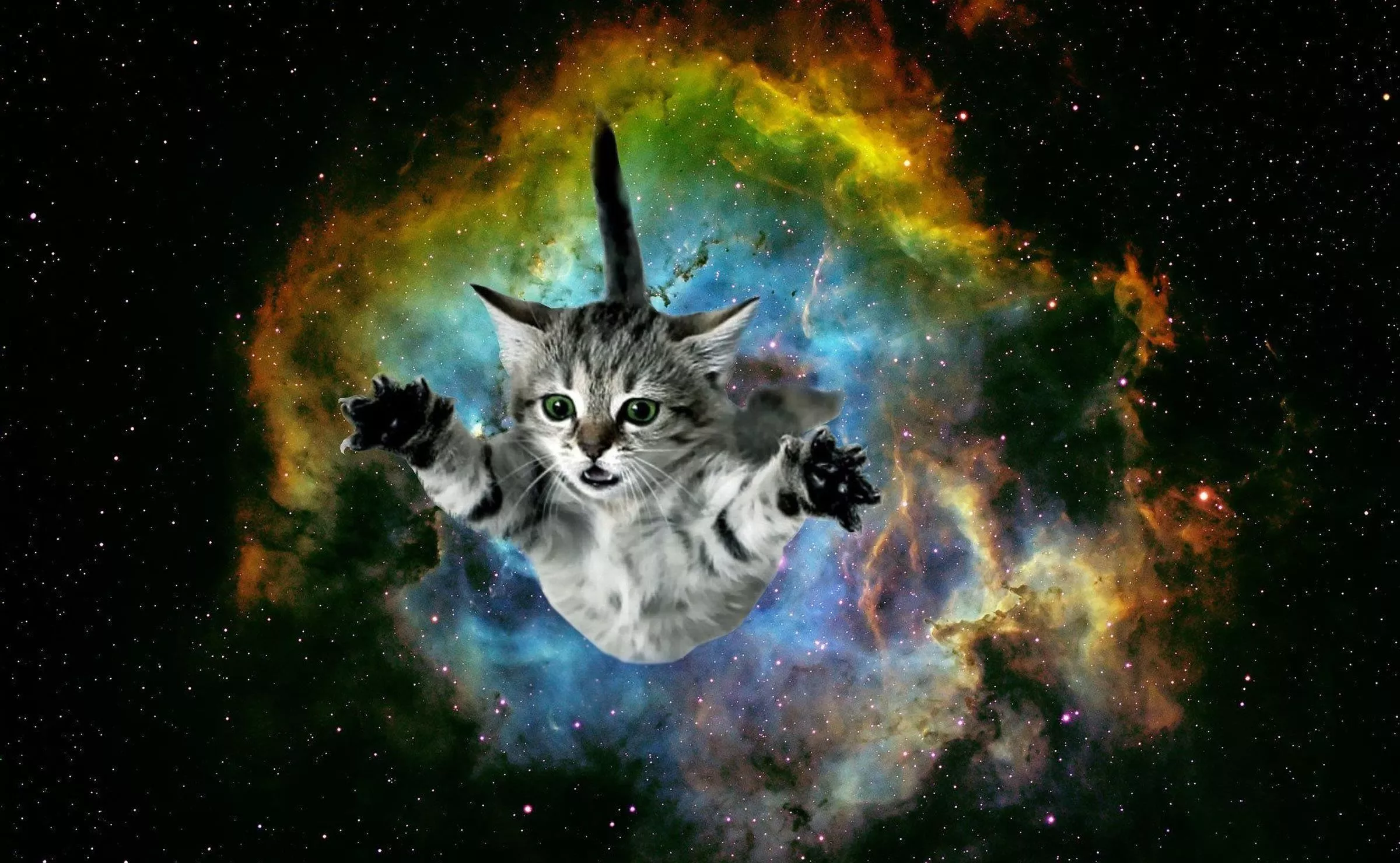 Galaxy Cat Wallpaper