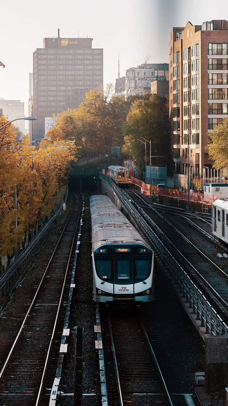 Train, Danilo, building, canada, city