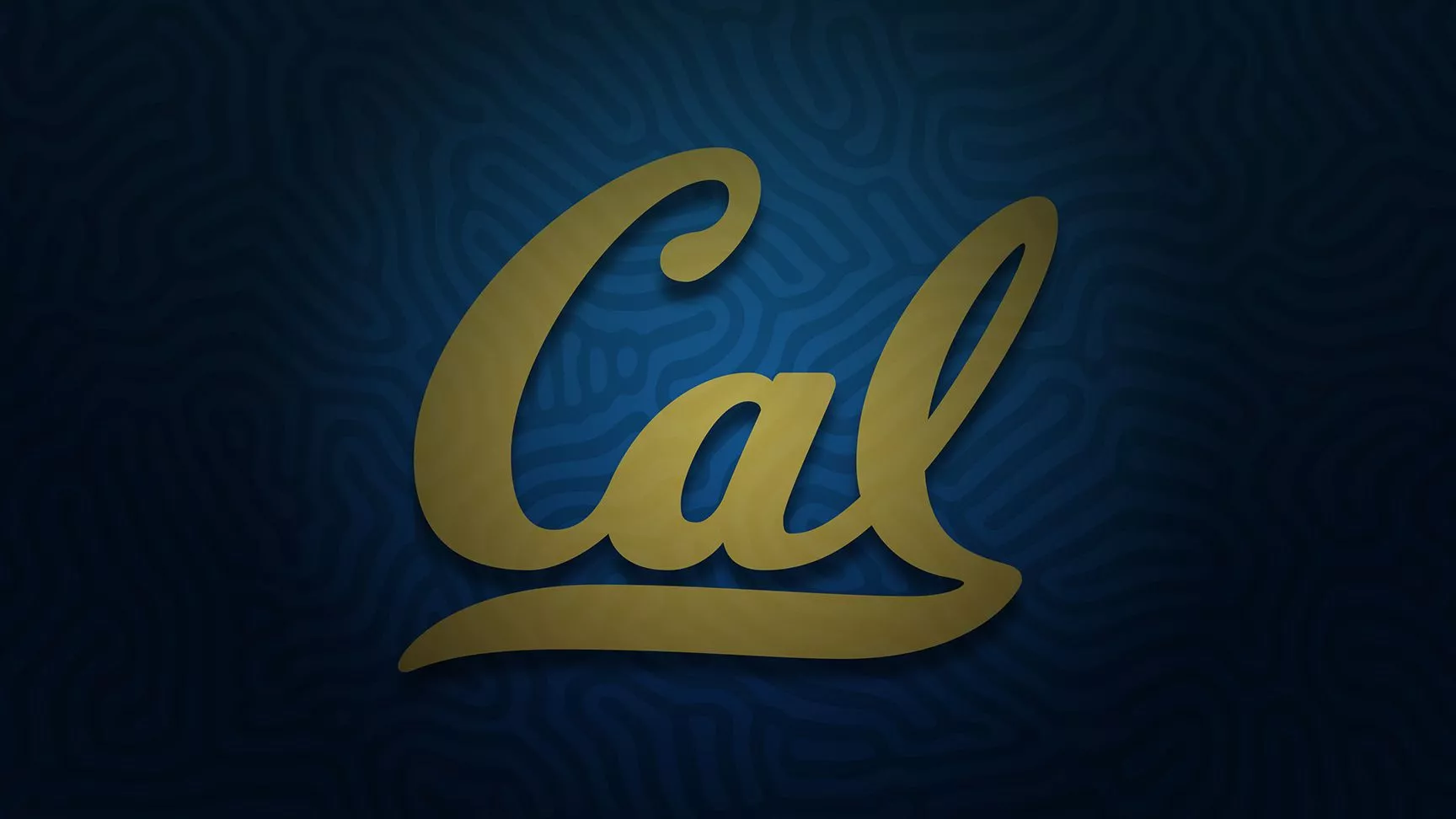 2024 California Golden Bears wallpaper