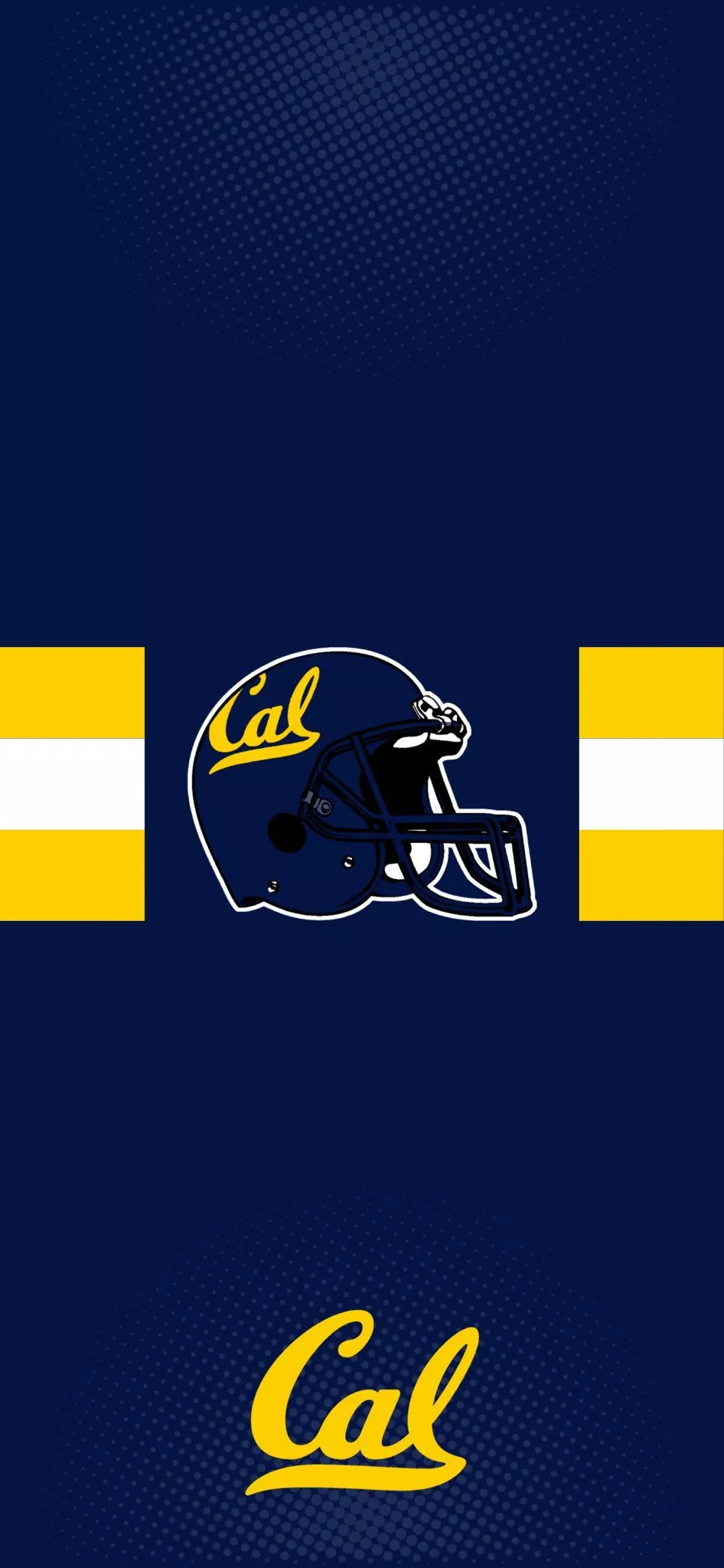 CCV Sports Cal Golden Bears