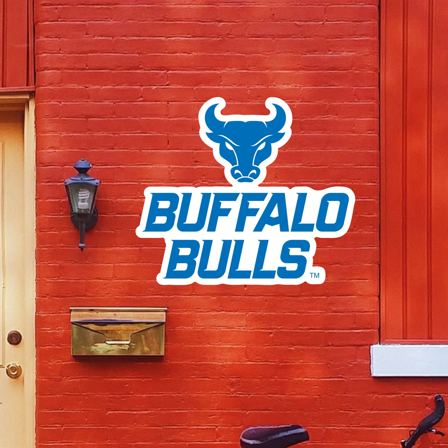 Buffalo Bulls Wall