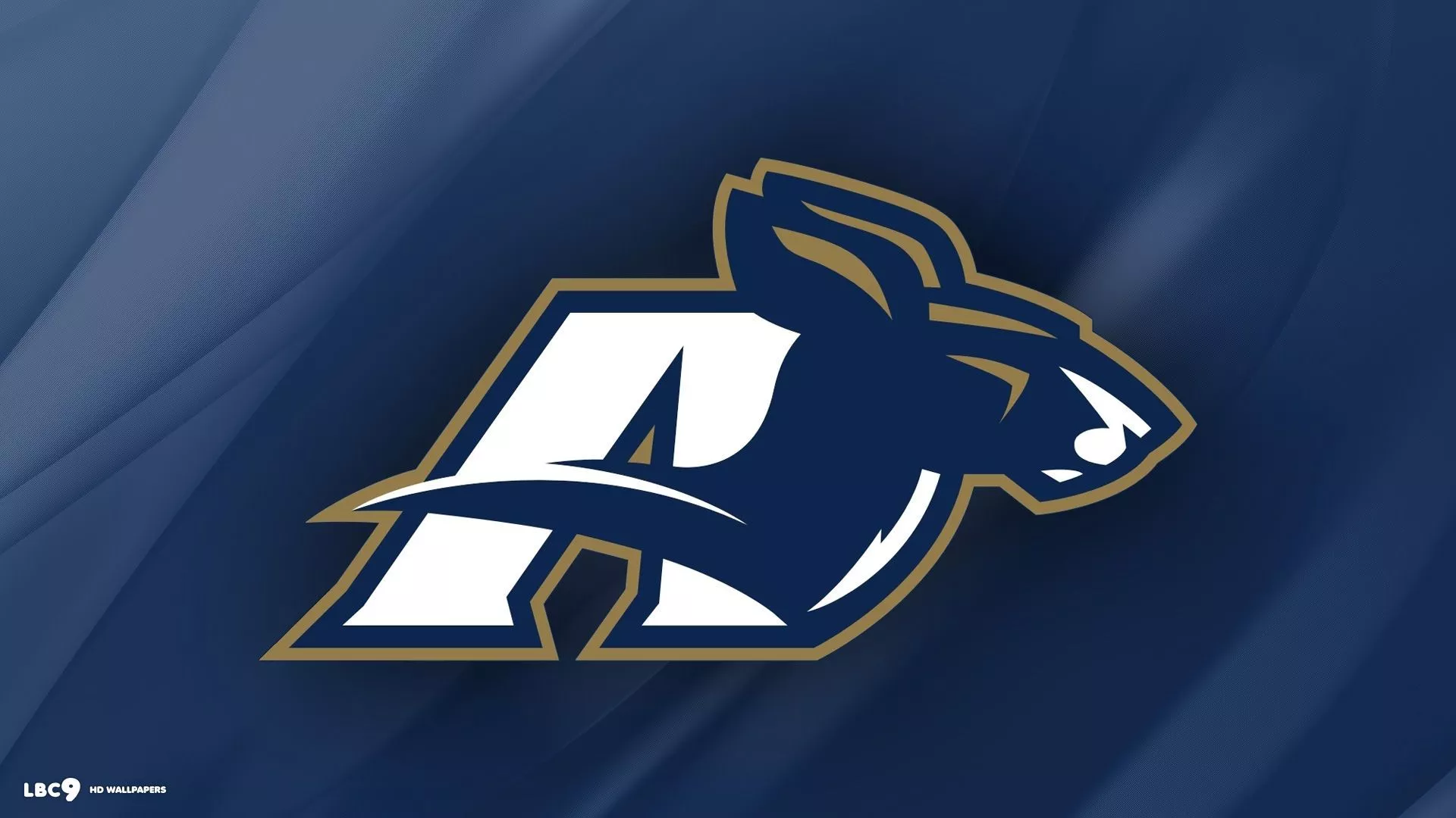 Akron Zips Wallpaper 1 1. College