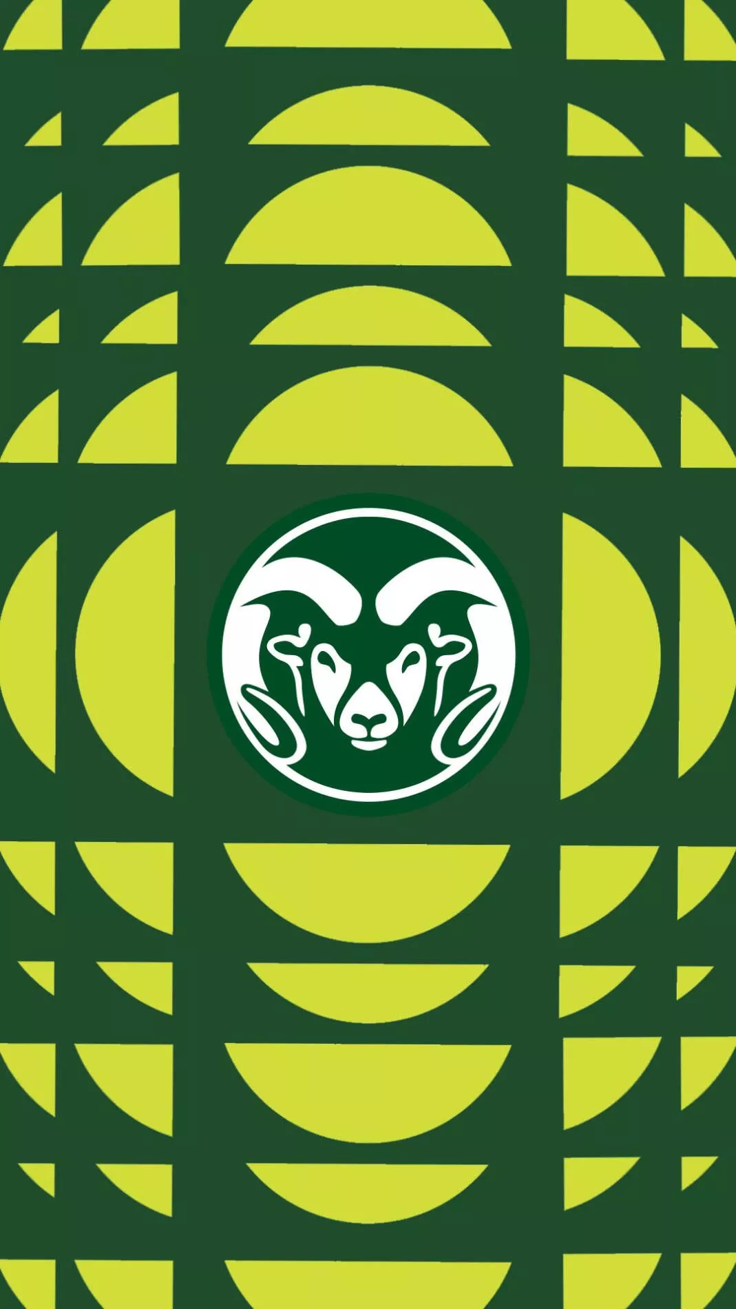 Colorado State University