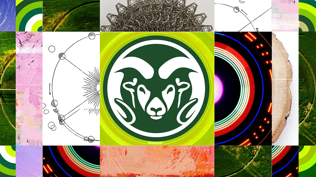 Colorado State University