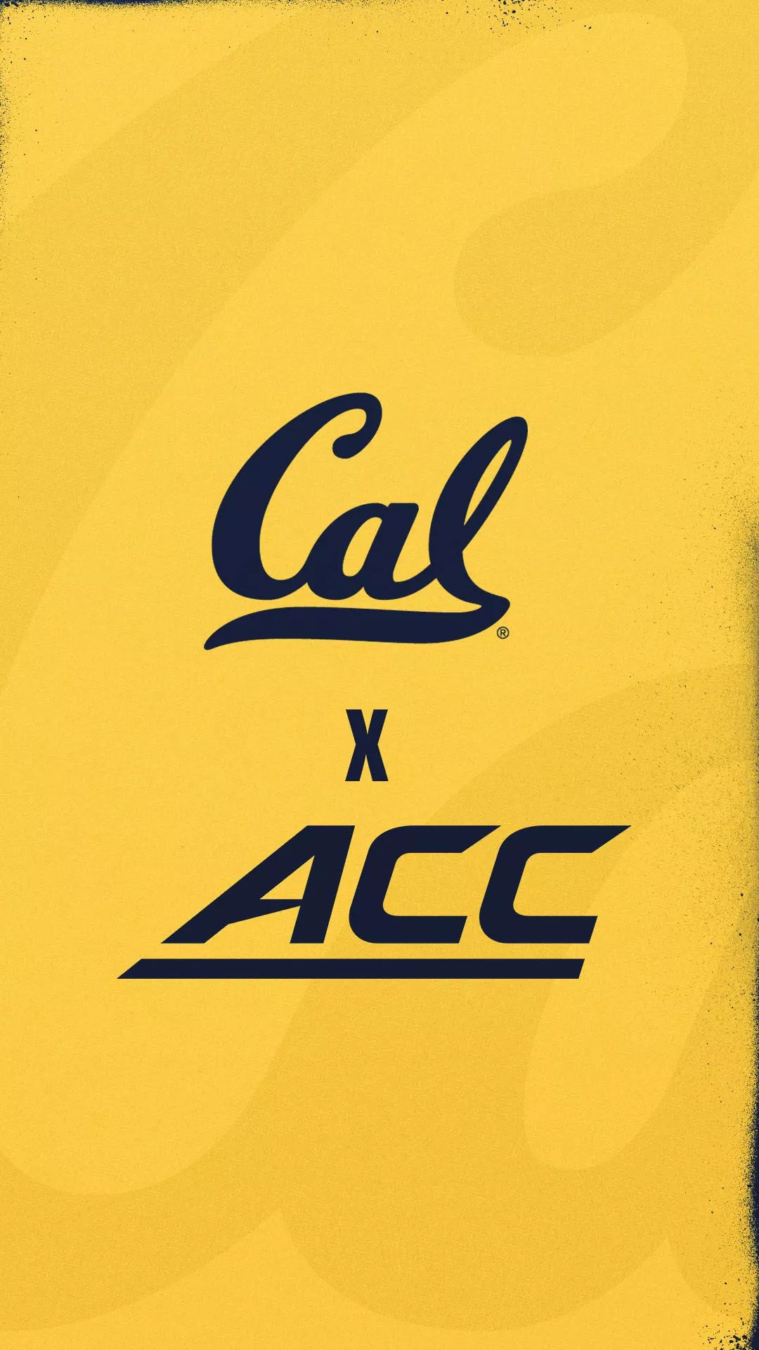 Bring the Golden Bear spirit to your