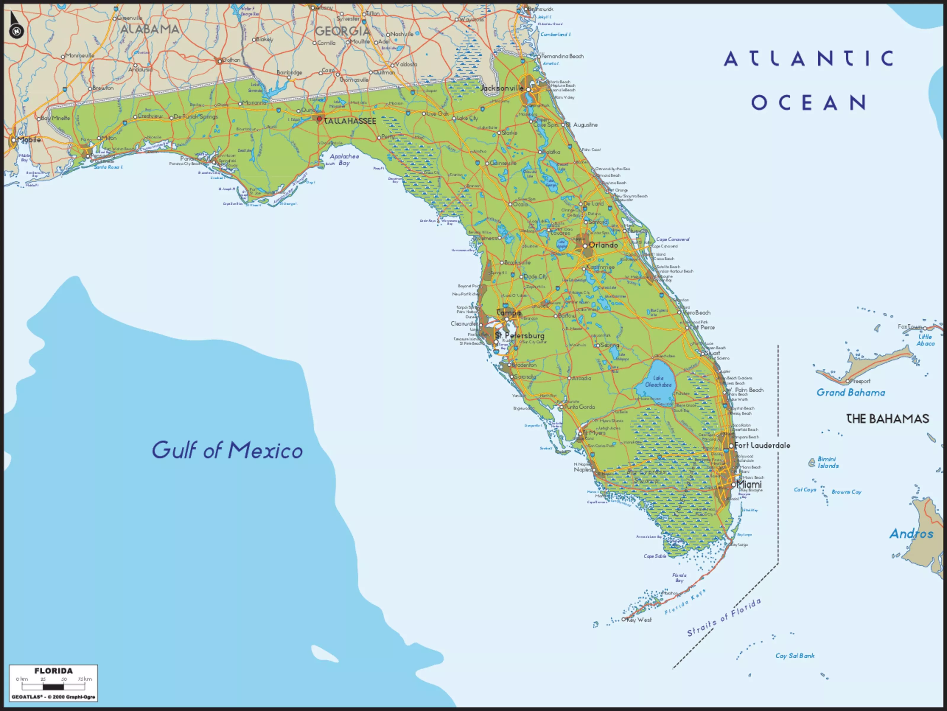 Florida Map Wall Mural Your Way