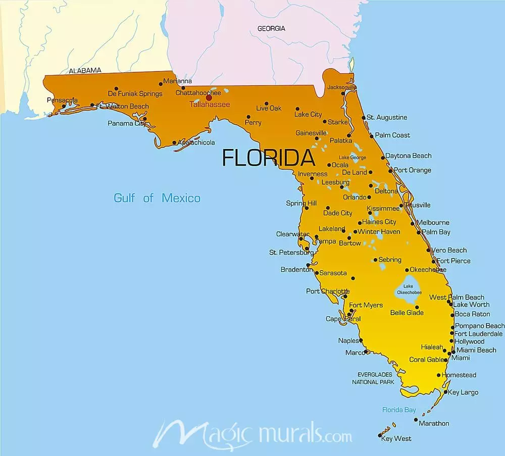 Florida State Wallpaper Wall Mural