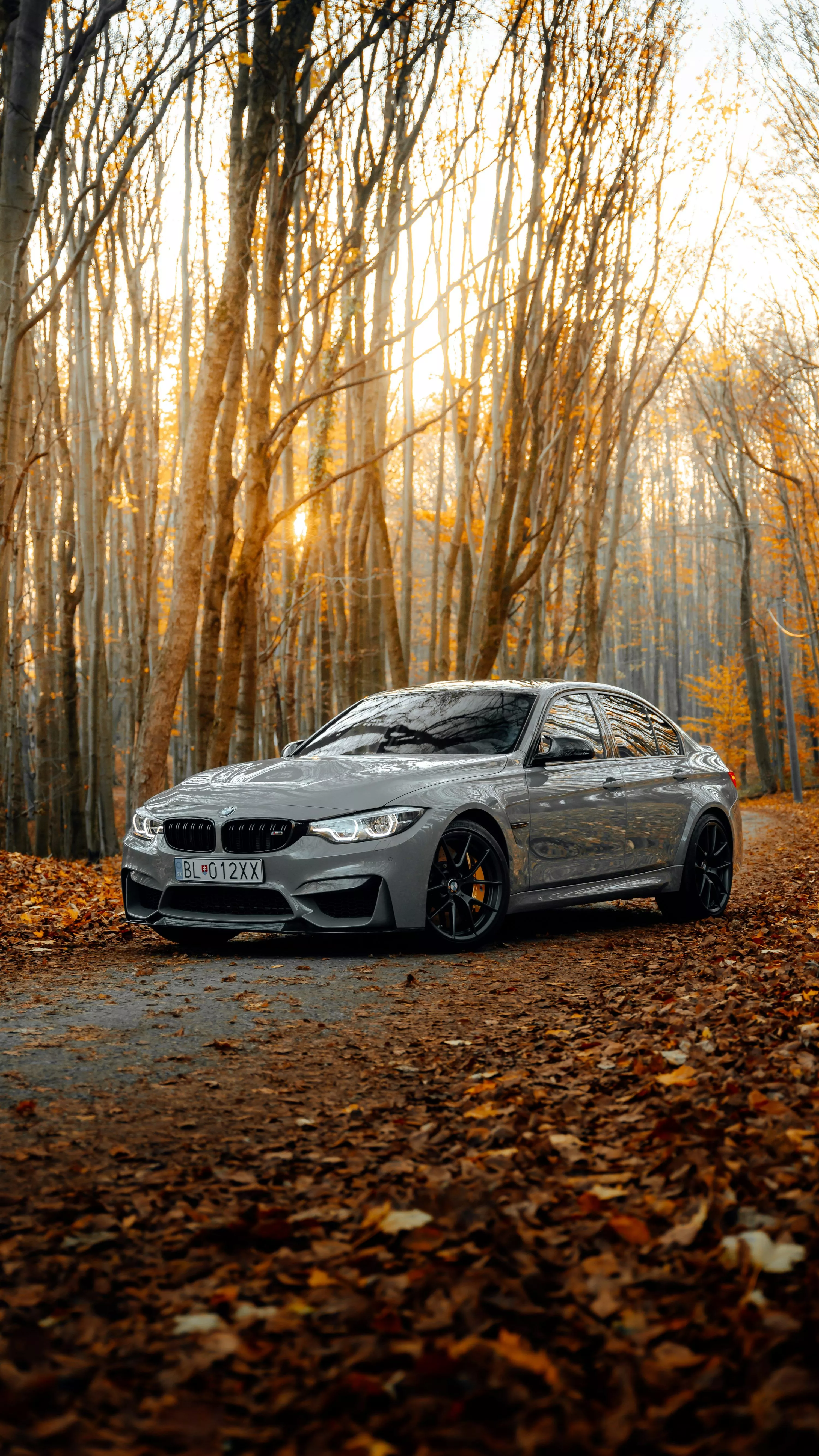 Black bmw m 3 coupe parked on forest