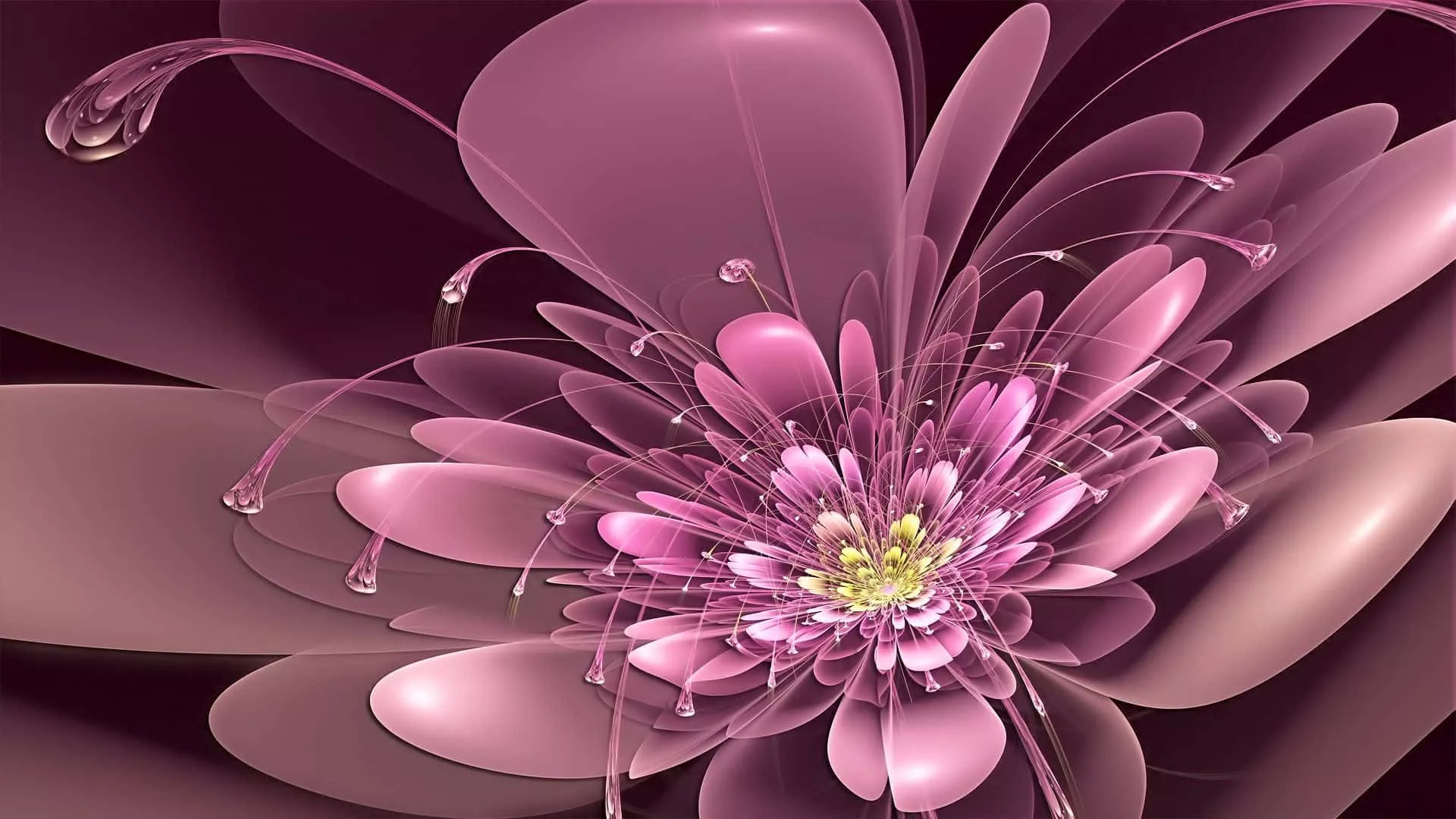 3D Flower Wallpaper