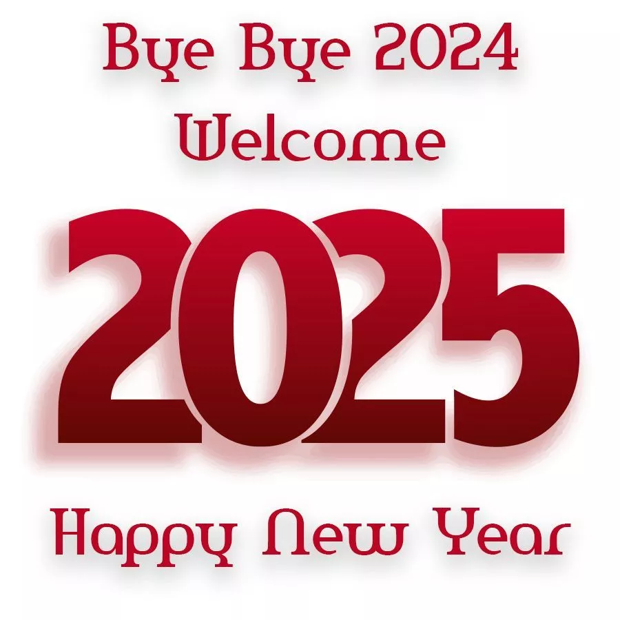 Goodbye 2024 & Welcome 2025 New Year
