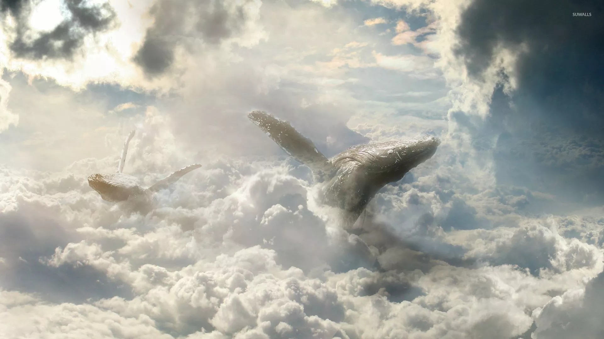 Whales flying in the clouds wallpaper