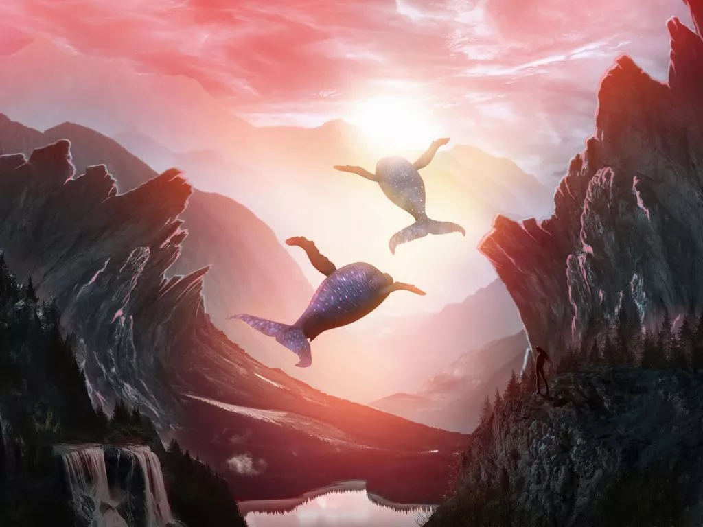 Wallpaper flying whales, fantasy