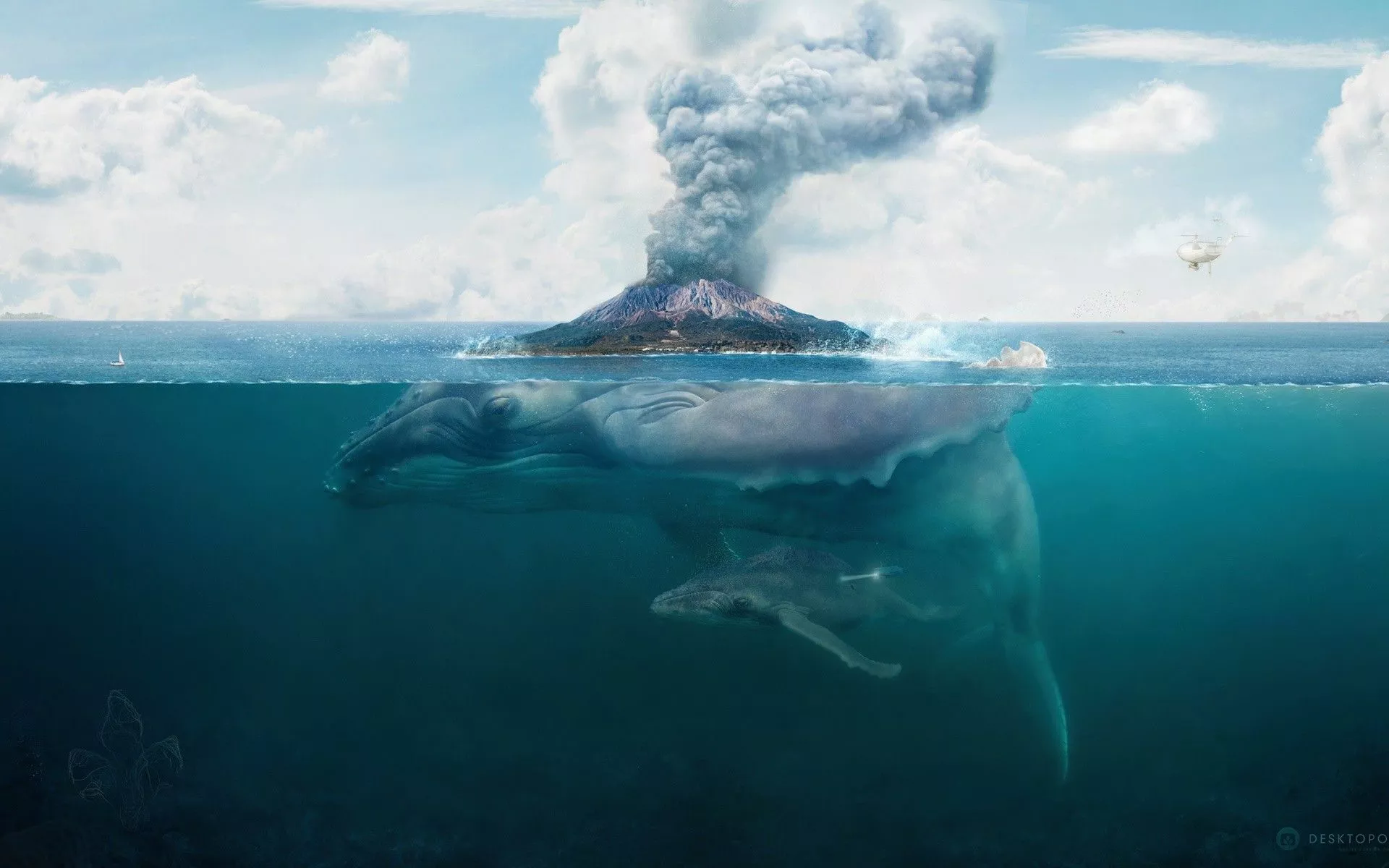 nature, whale, artwork, split view