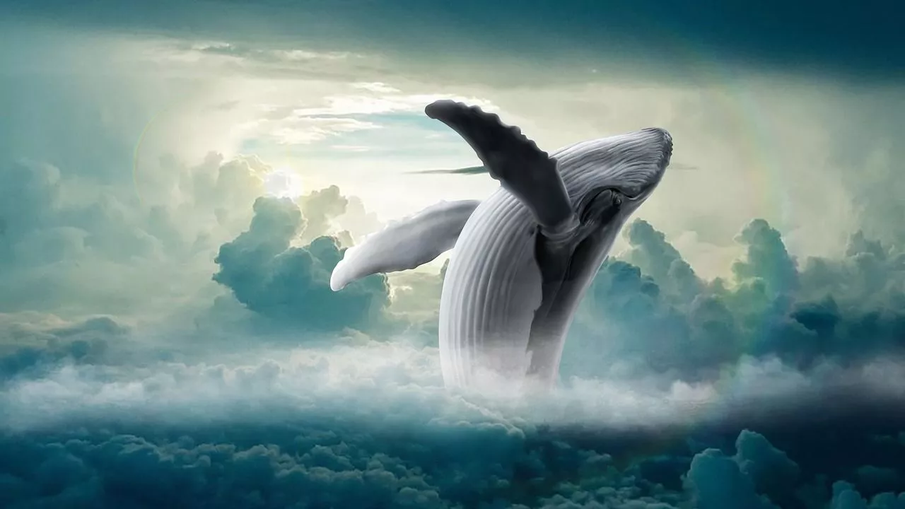 Whale Clouds Fantasy Humpback