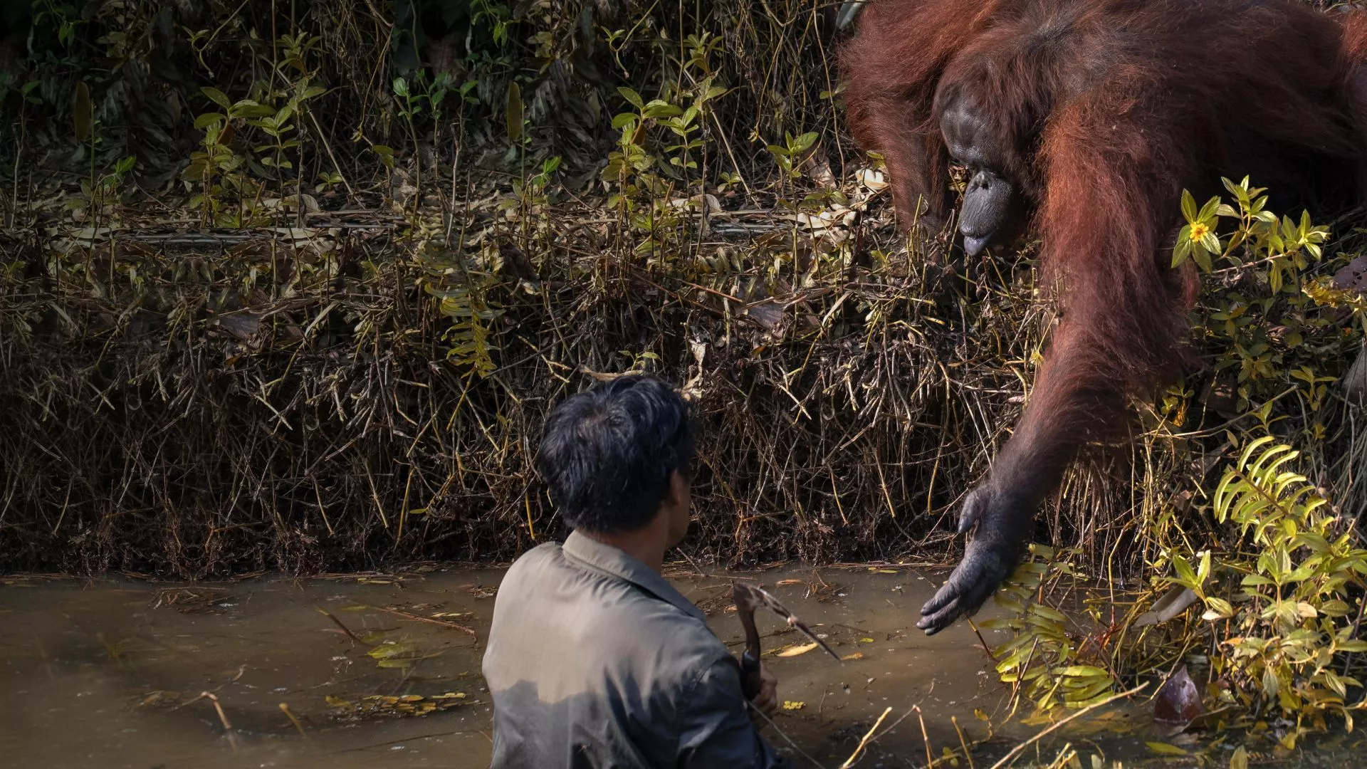 of altruism., Exhibition MUSE