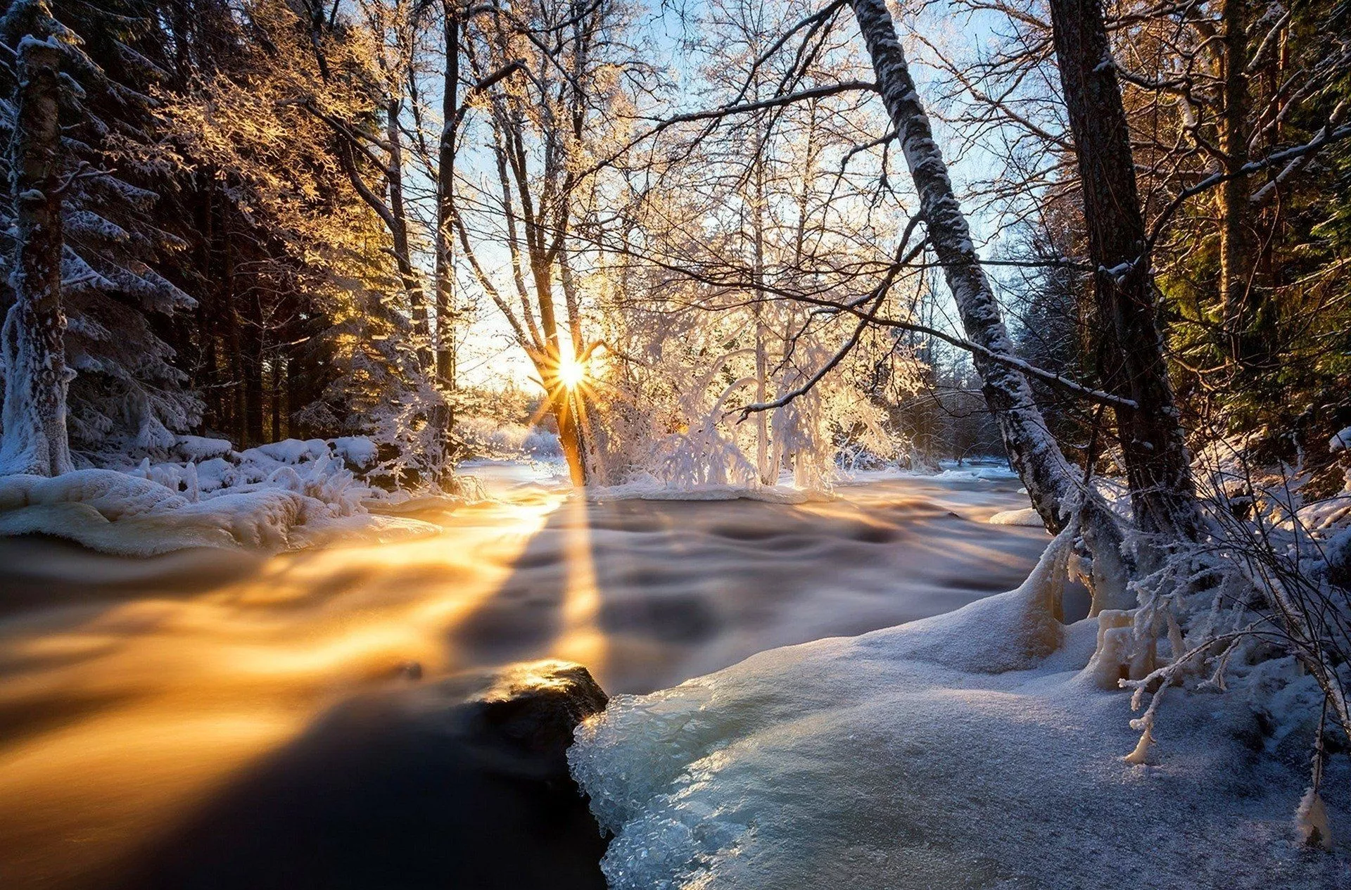 Winter Sunshine: A Stunning HD