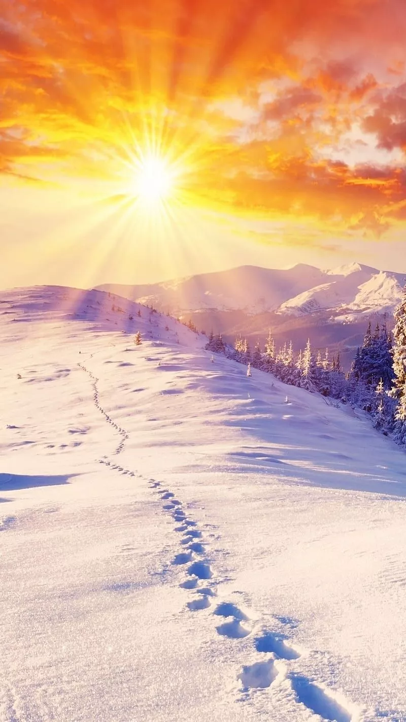 snow, sunrise, sunset, winter, HD