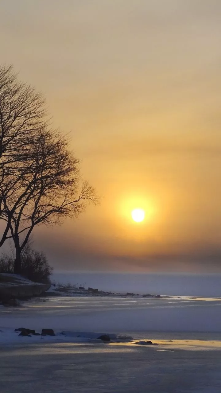 s5, neo, alpha, sony xperia compact z1