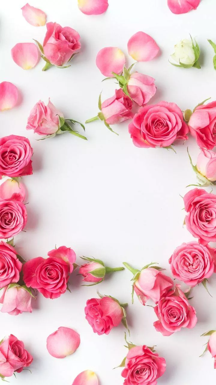 Beautiful Flower Wallpaper