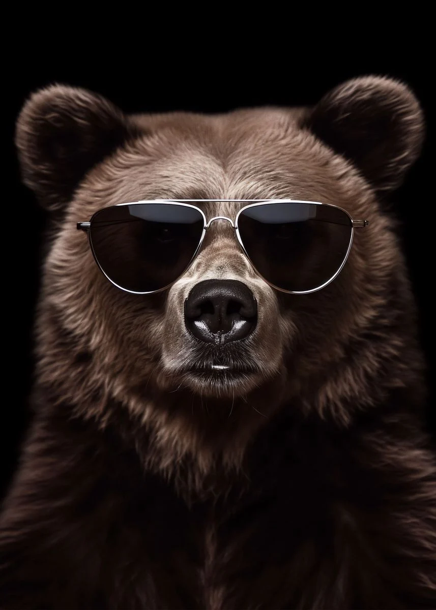 Cool Bear Wallpaper' Poster, picture