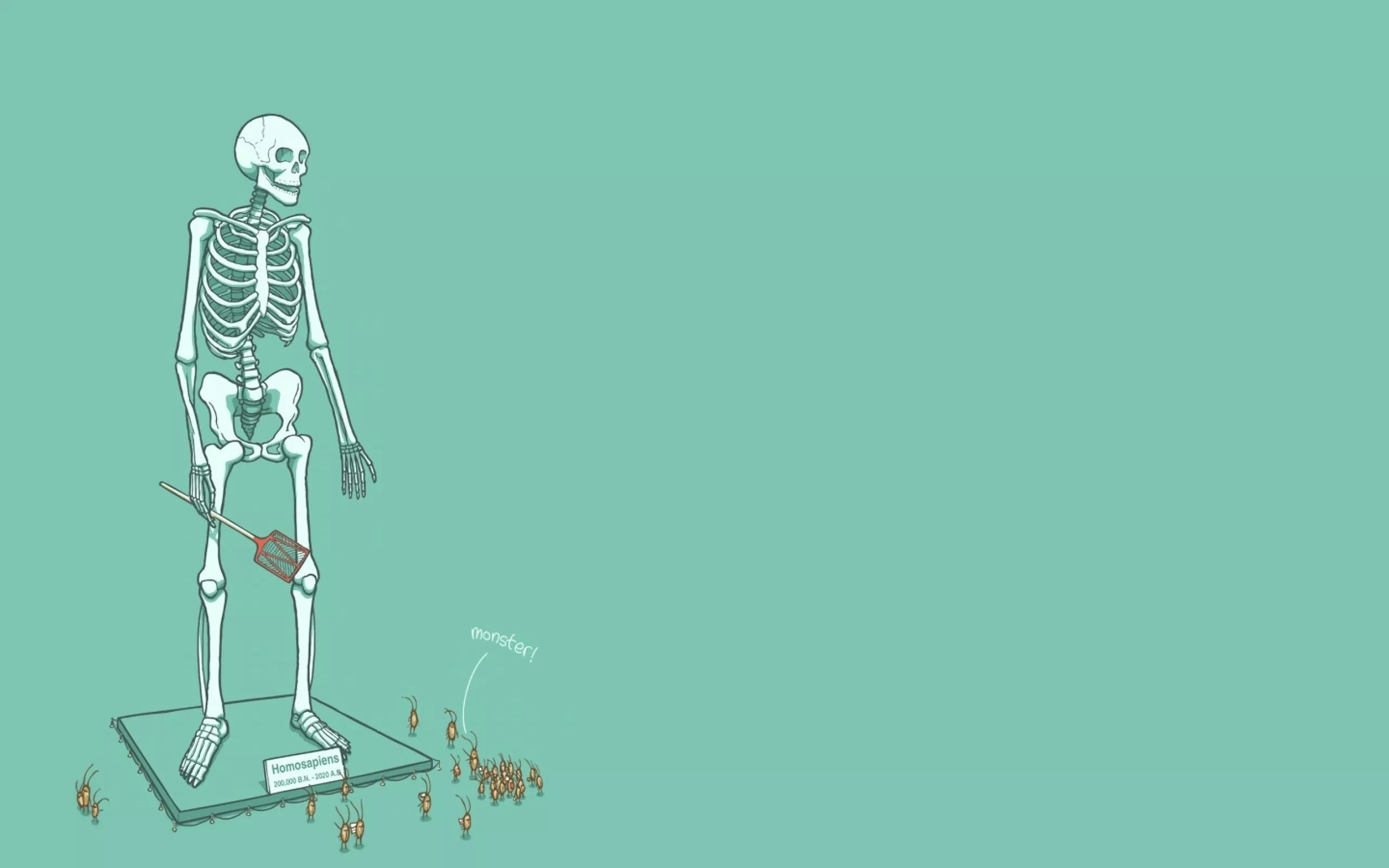 skeleton, stand, color Wallpaper, HD