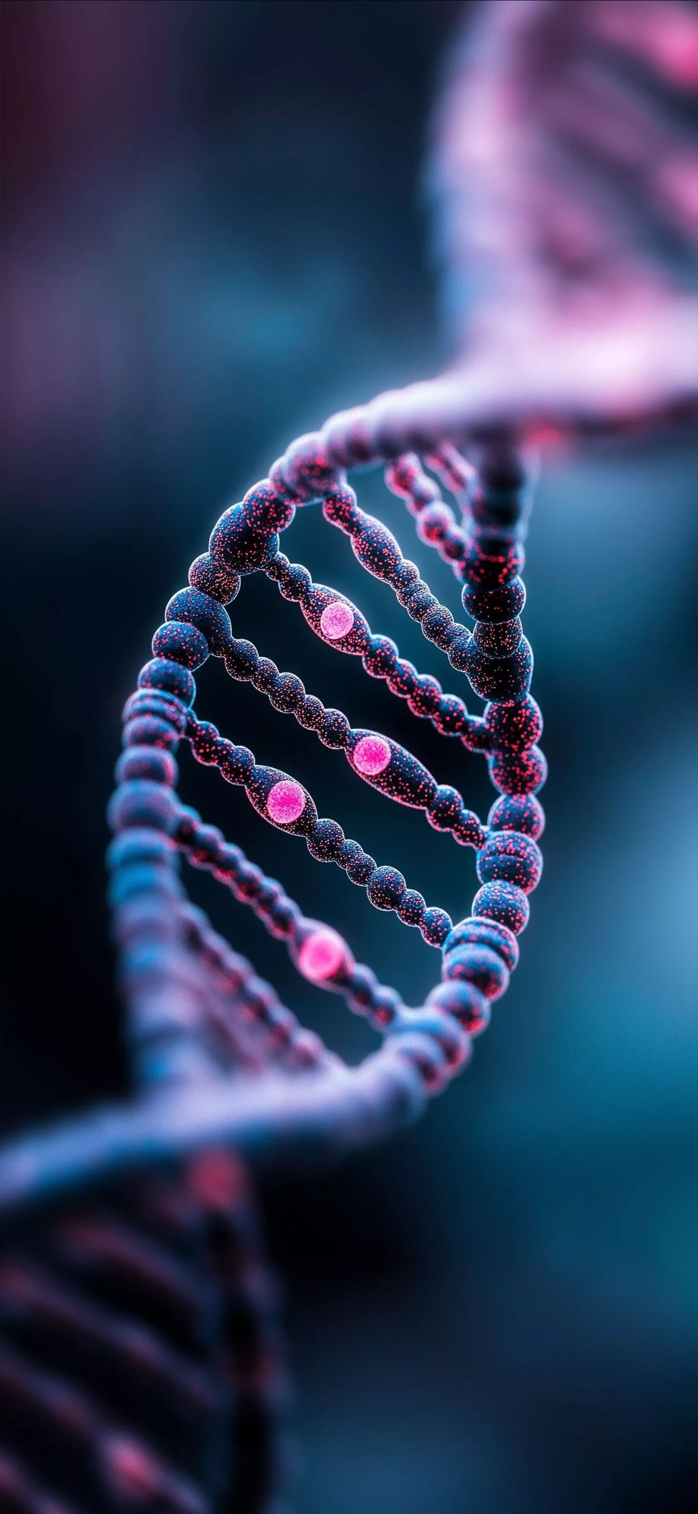 Dna Helix Pink Closeup 3D