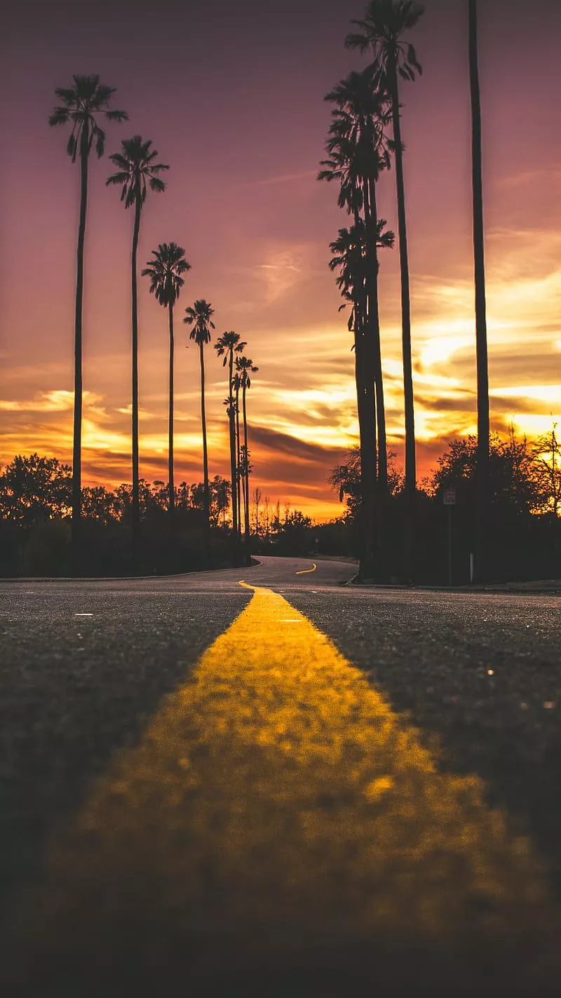 sunset, HD phone wallpaper