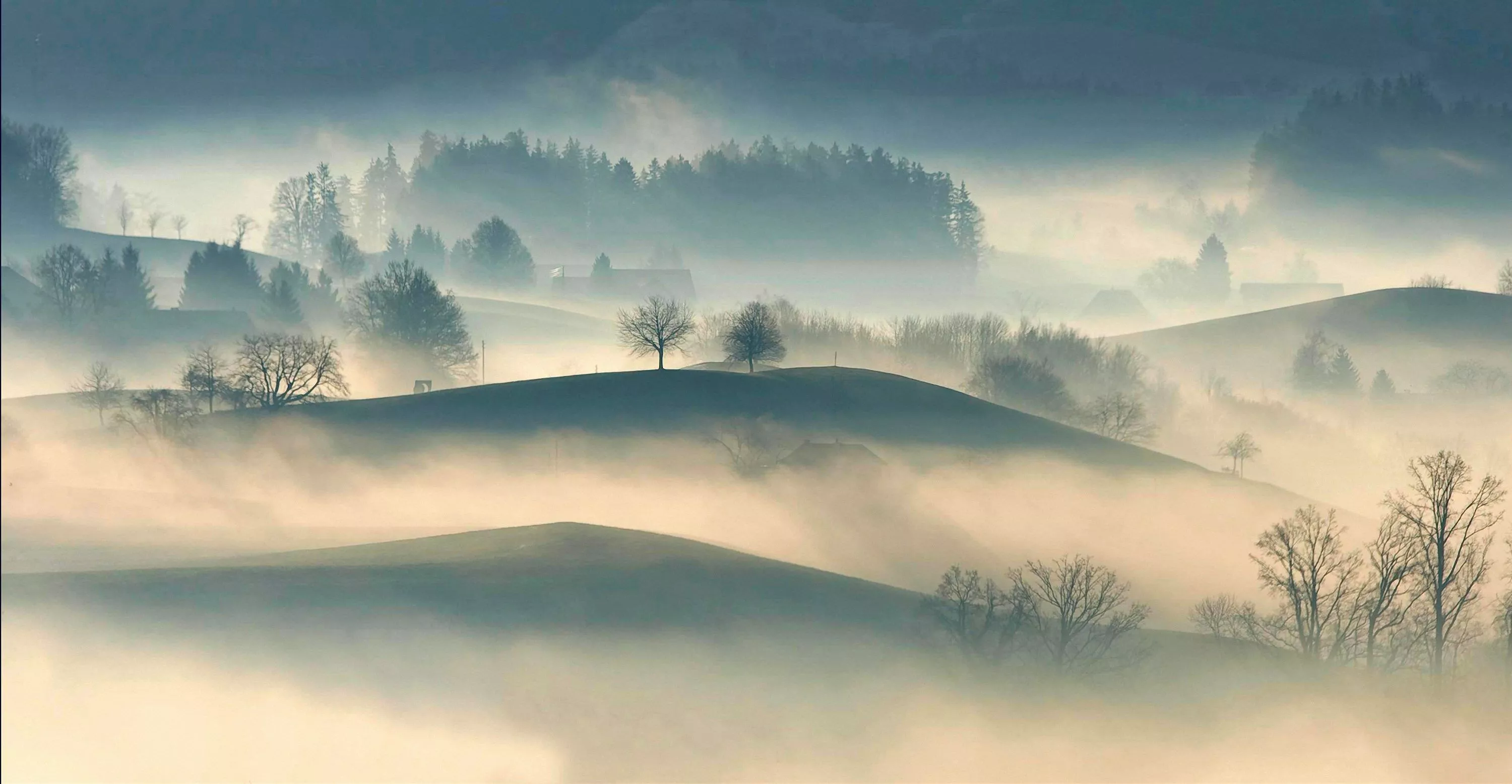 Fog Picture. Download Free
