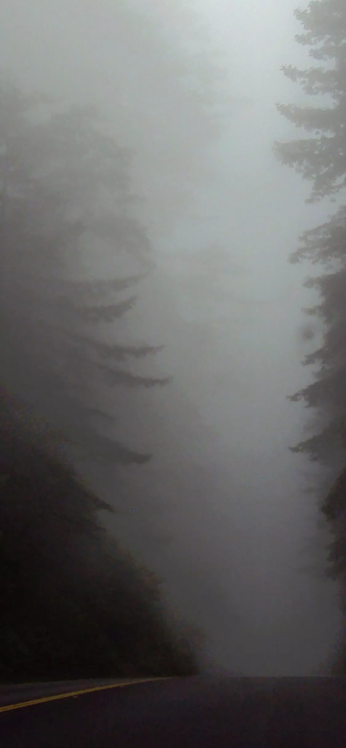 mobile phone wallpaper and lock screen wallpaper!